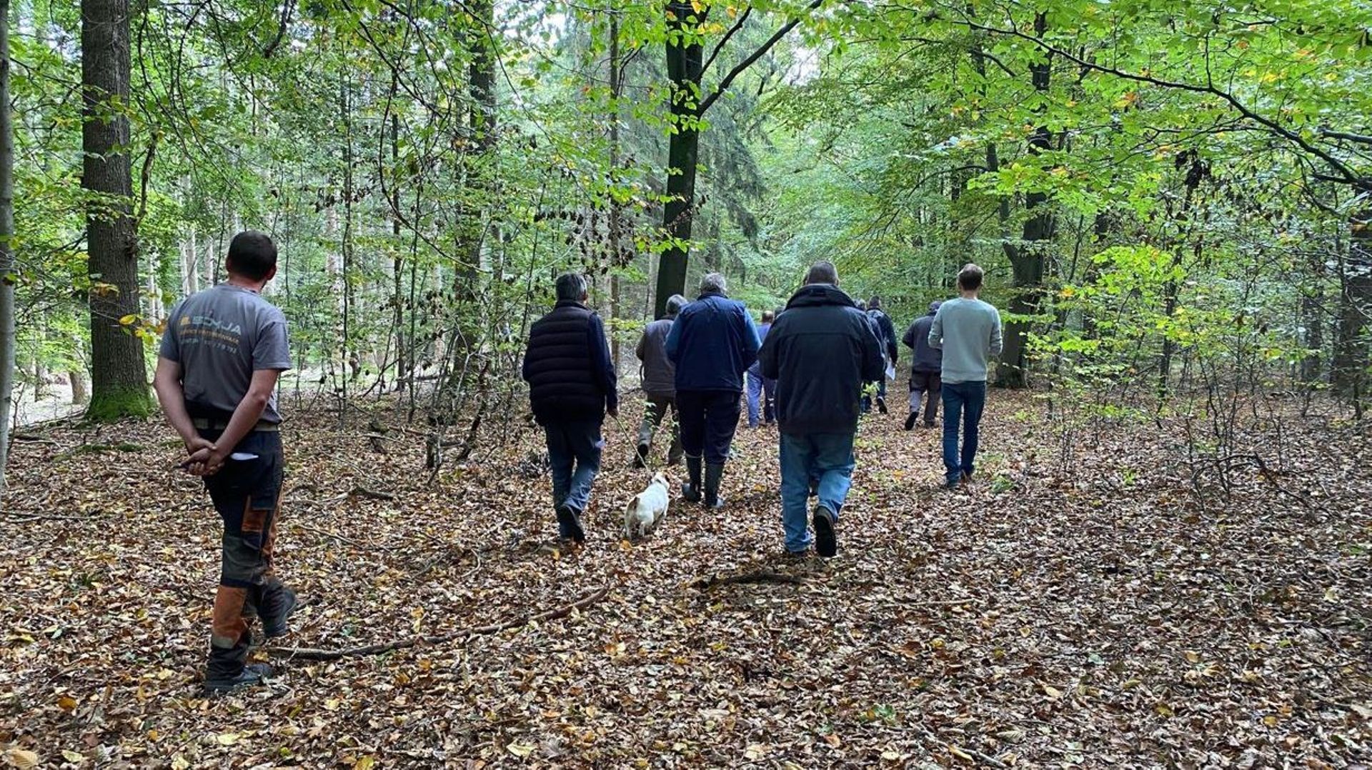 Ce mercredi, les candidats acheteurs défilaient devant les hêtres, bouleaux, pins et autres chênes destinés à la tronçonneuse.