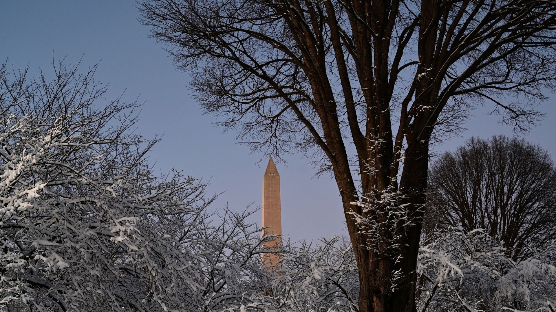 Le Washington Monument