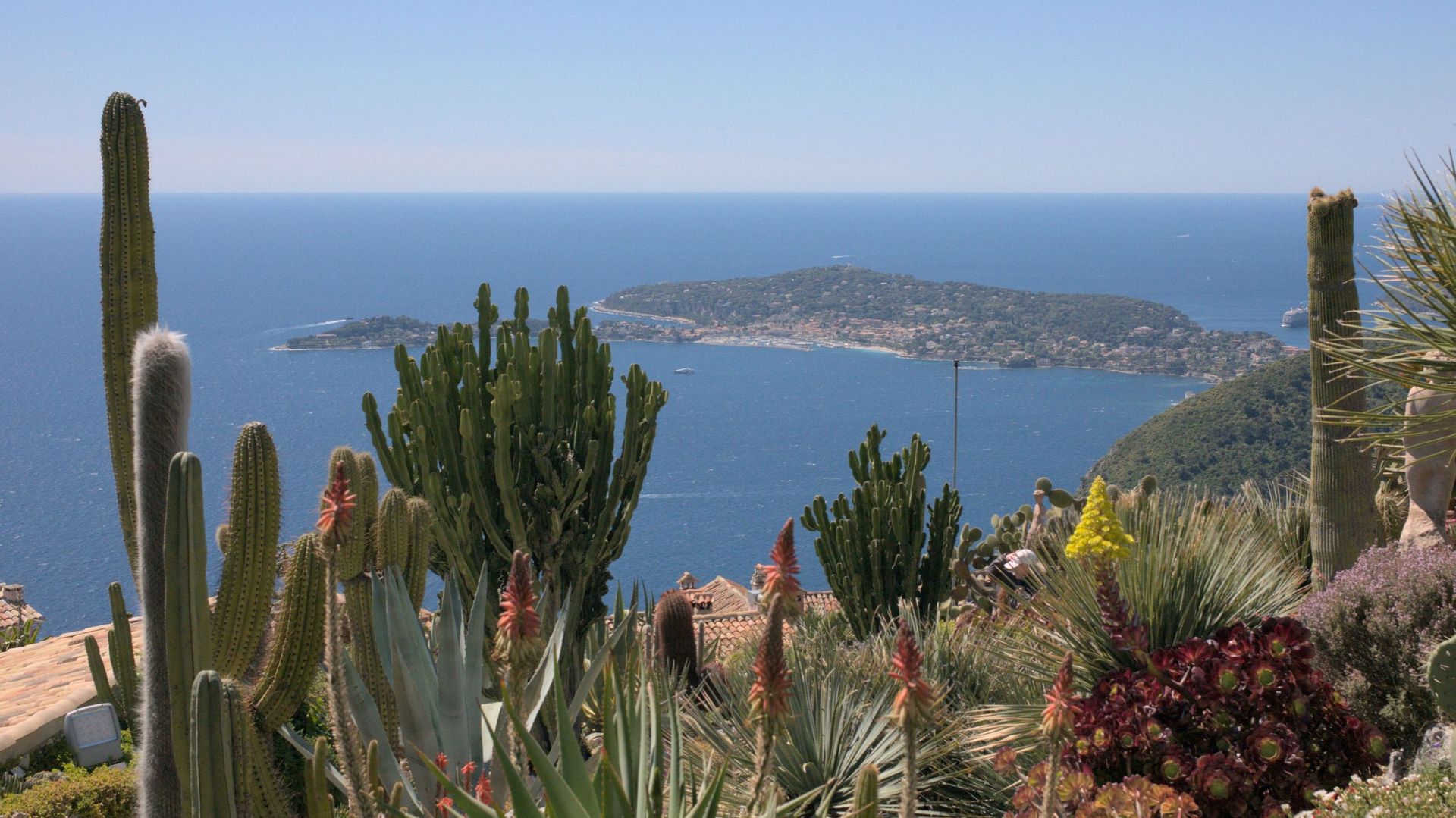 Parmi les plus beaux espaces de la Côte d’Azur, figure le Jardin exotique d’Eze aux magnifiques collections de cactus géants et plantes grasses présentées à flanc de falaise.