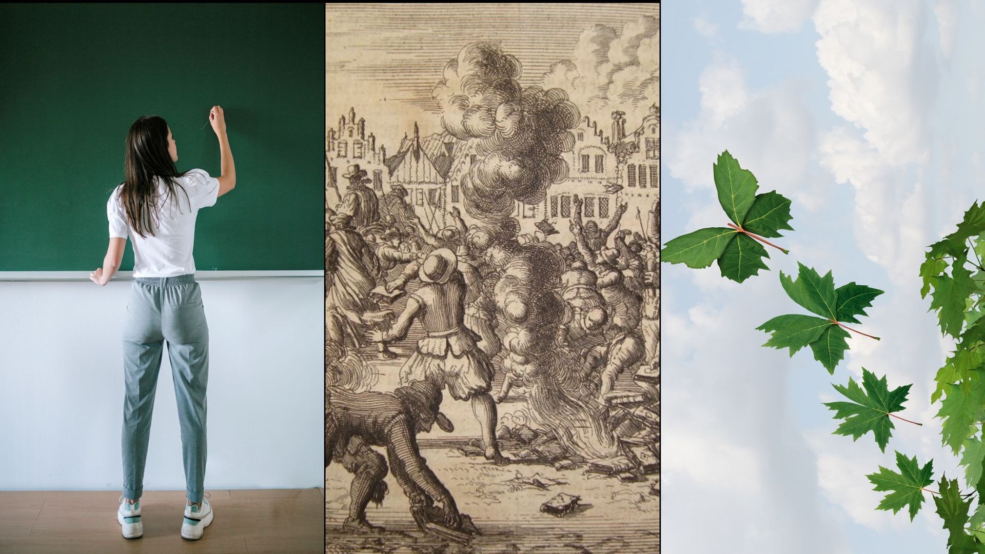 L'Evolution & Ecologie, l'Apprentissage et le Livre de la Renaissance