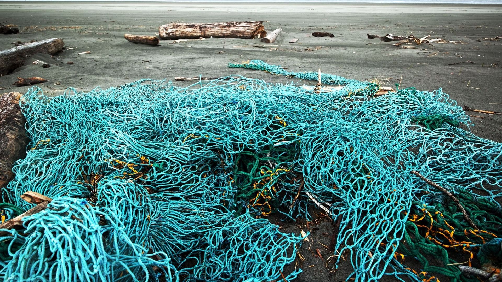 Des déchets marins transformés en vêtements durables.