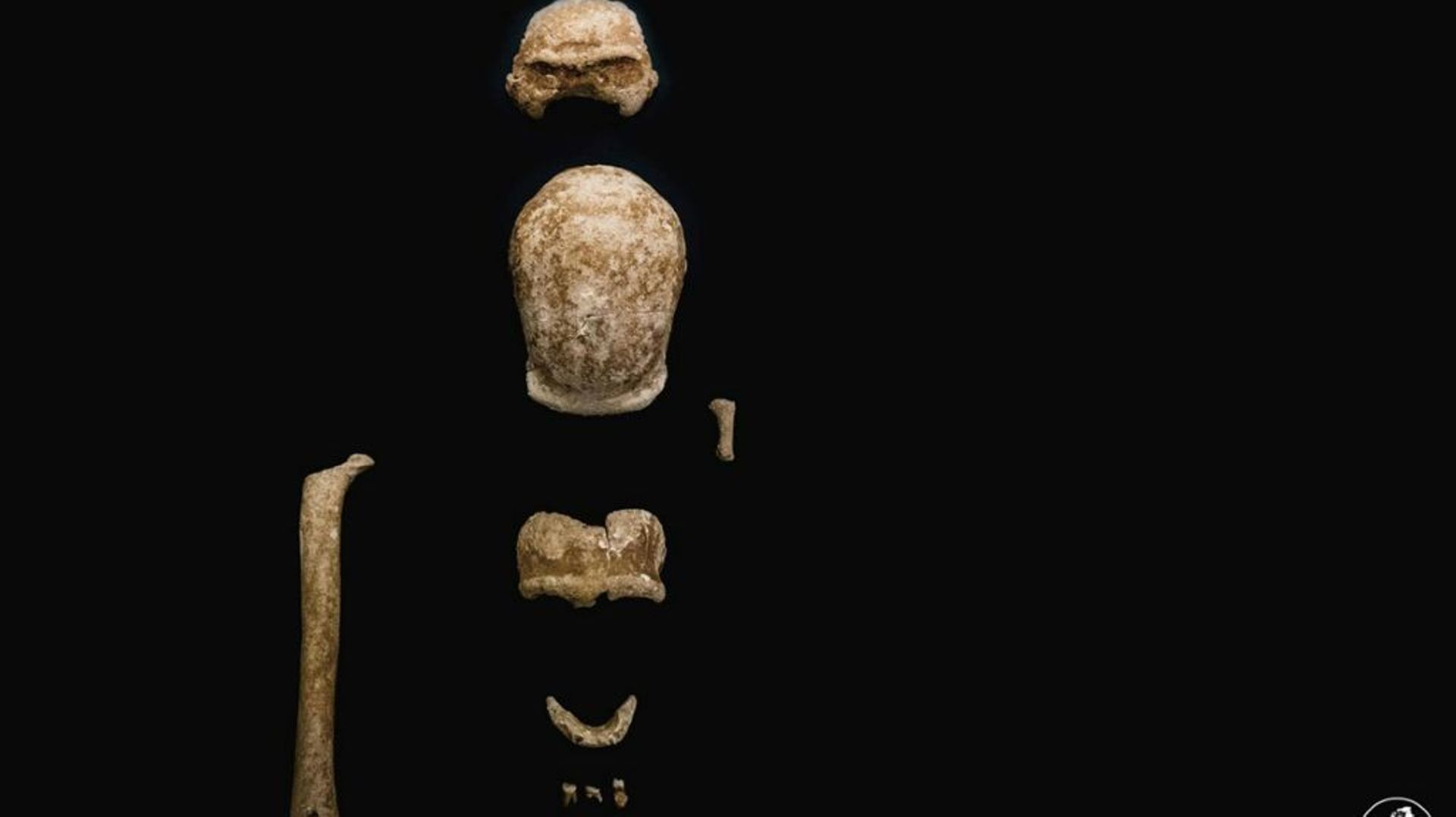 Photo fournie le 8 mai 2021 par le ministère italien de la Culture de restes fossilisés de neuf Néandertaliens trouvés à San Felice Circeo, en Italie
