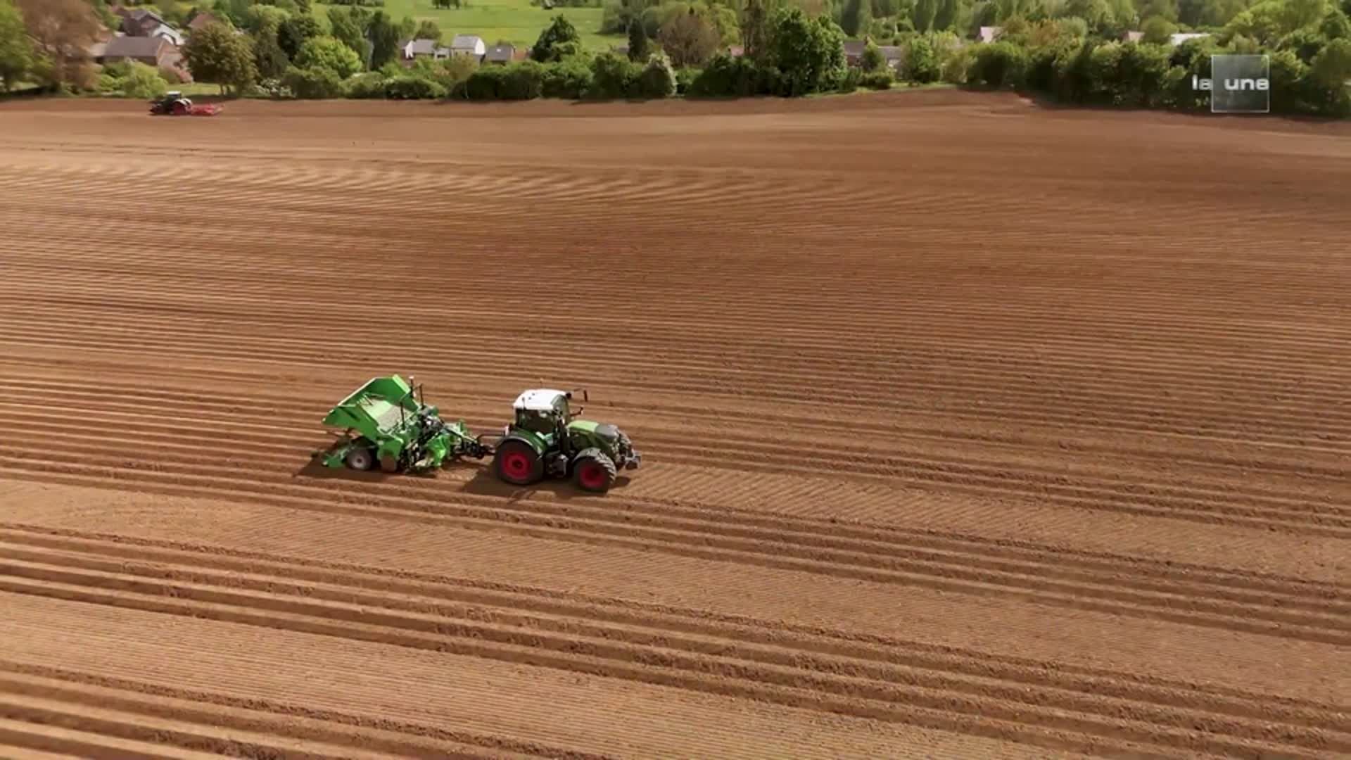 Pommes de terre invendues : les agriculteurs sont-ils en surproduction ? – RTBF Actus