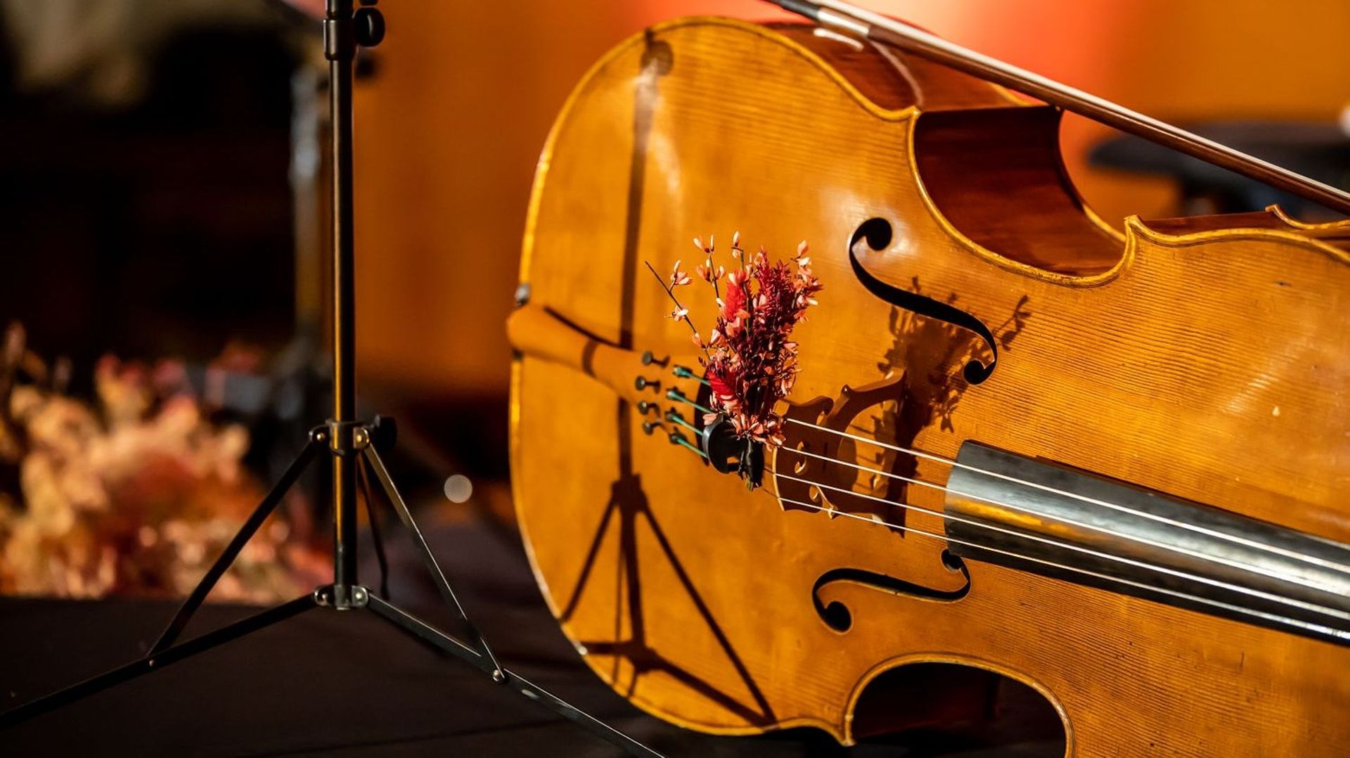 « Cello Prelude » : dernière ligne droite avant le Concours Reine Elisabeth pour les artistes en résidence à la Chapelle