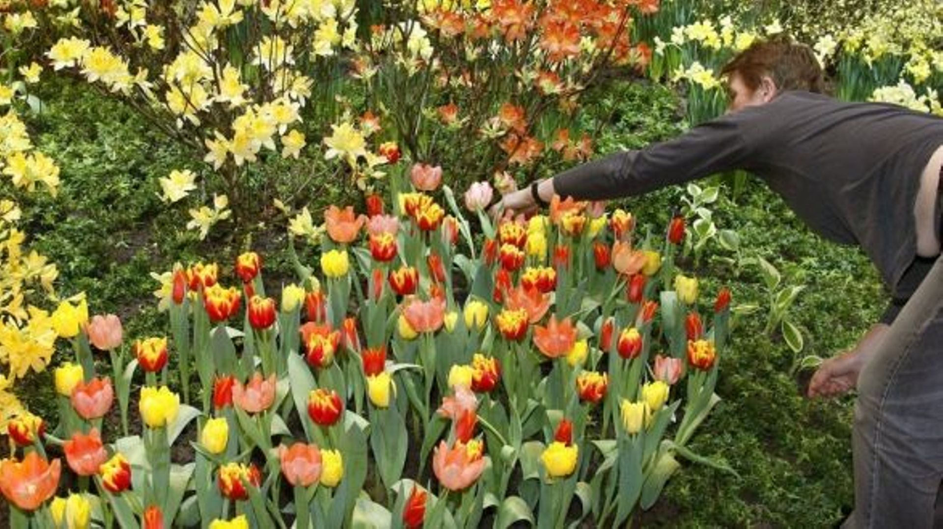 Nouveau campus en projet pour l'école agronomique de La Reid RTBF Actus