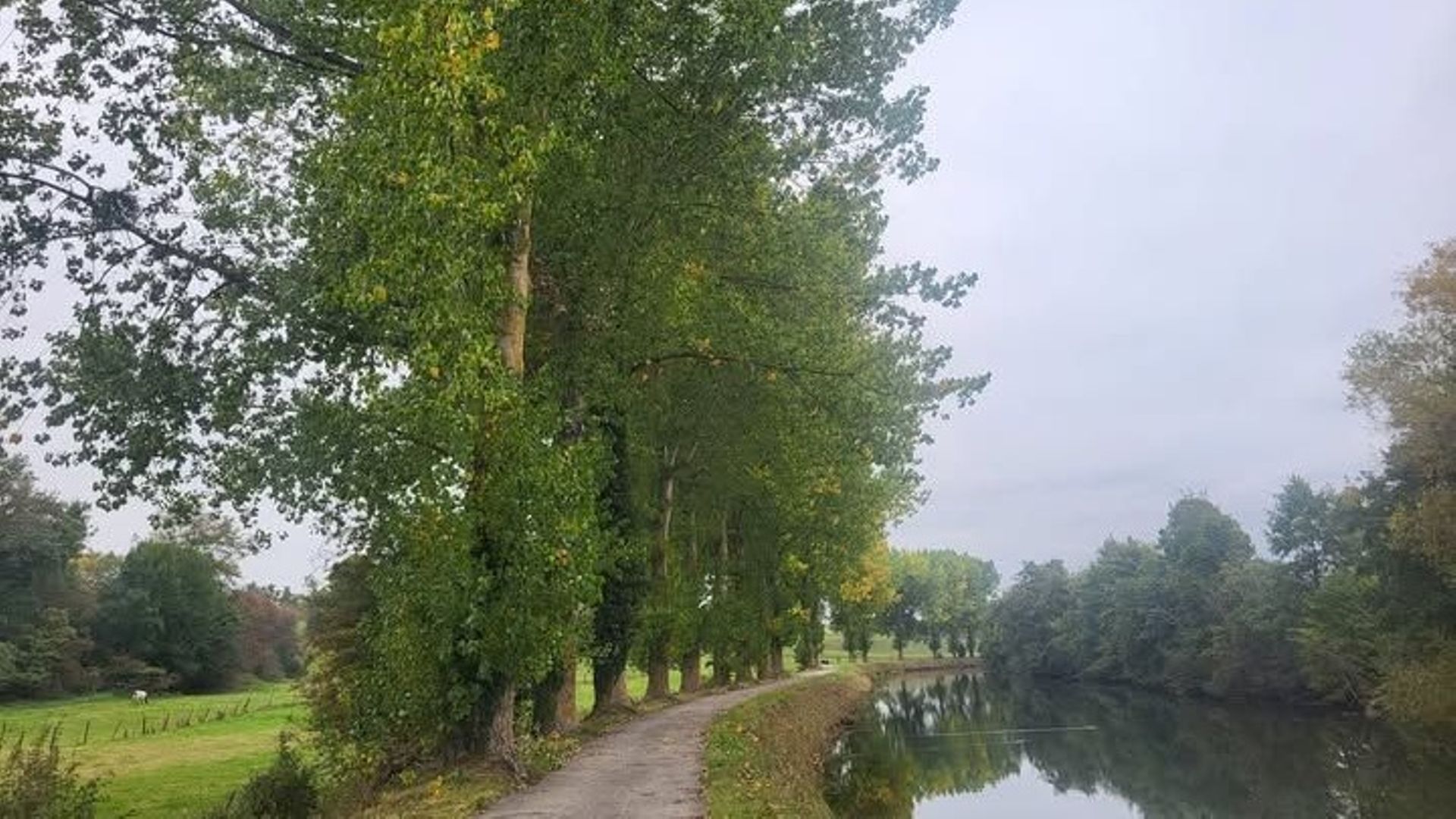 Météo en Belgique : toujours un temps gris ce mercredi