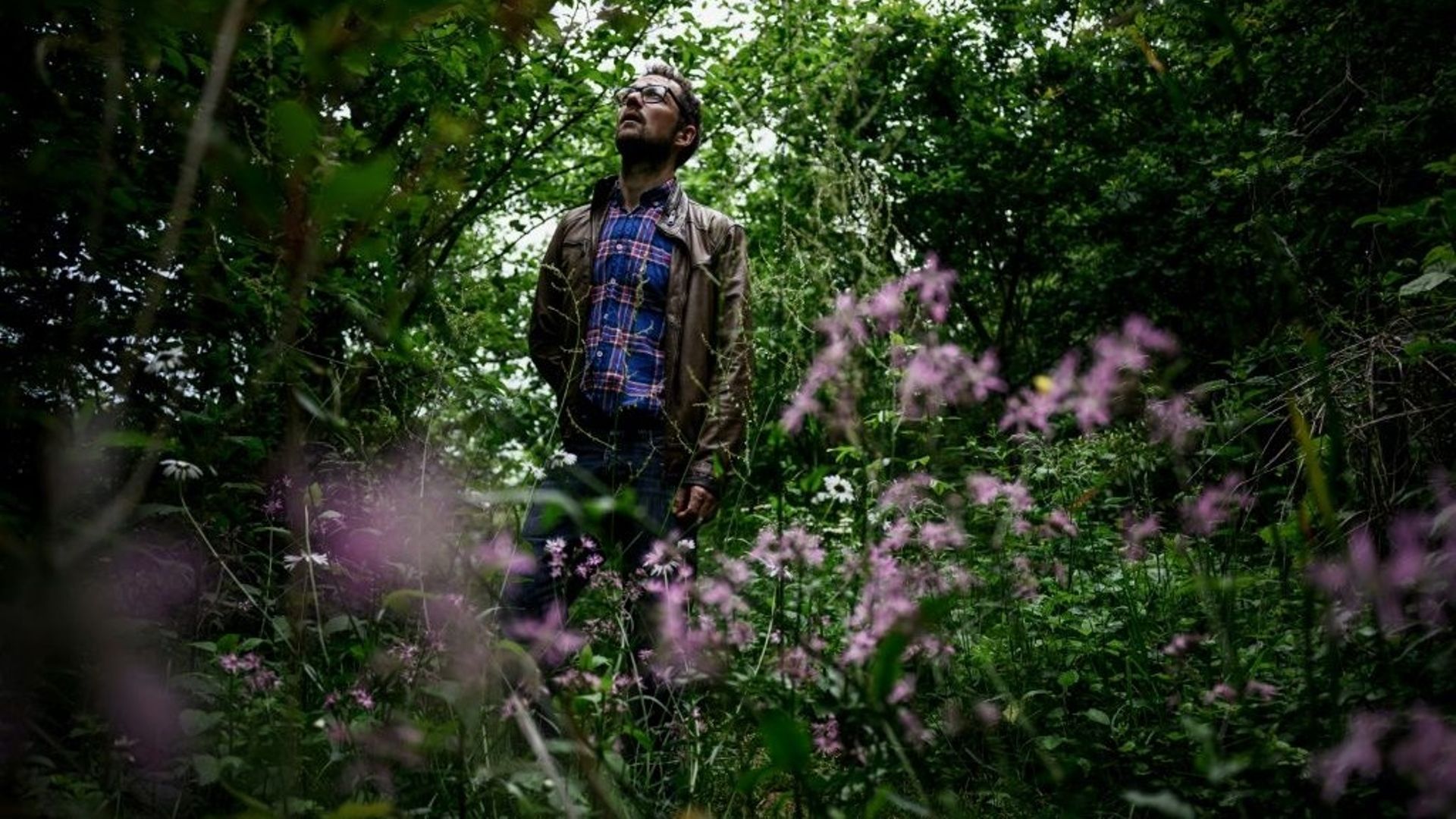 Dans l'est de la France, une forêt à manger pour sauver la planète.
