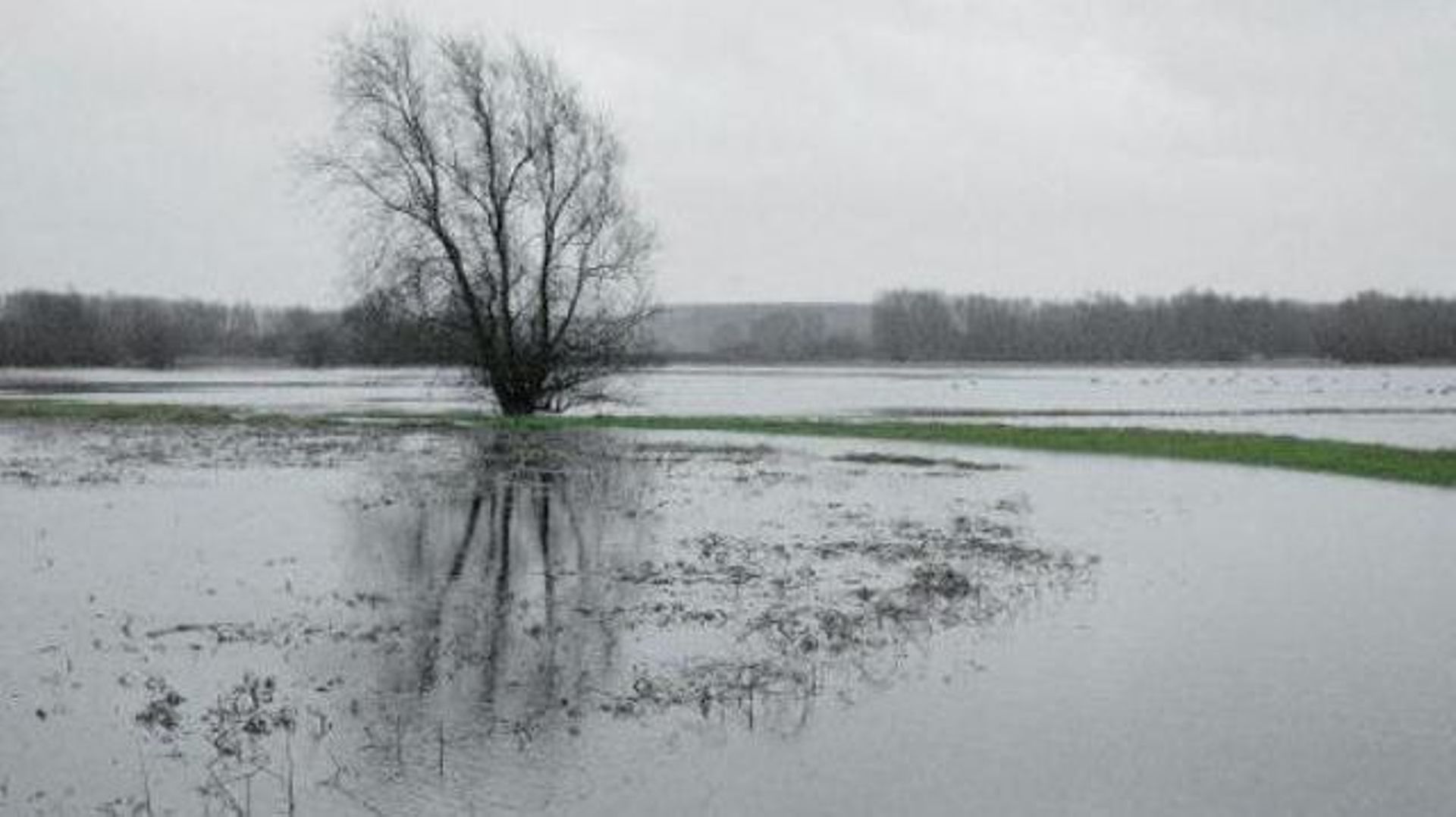 Le niveau des eaux dans le Limbourg et le Brabant flamand reste très élevé