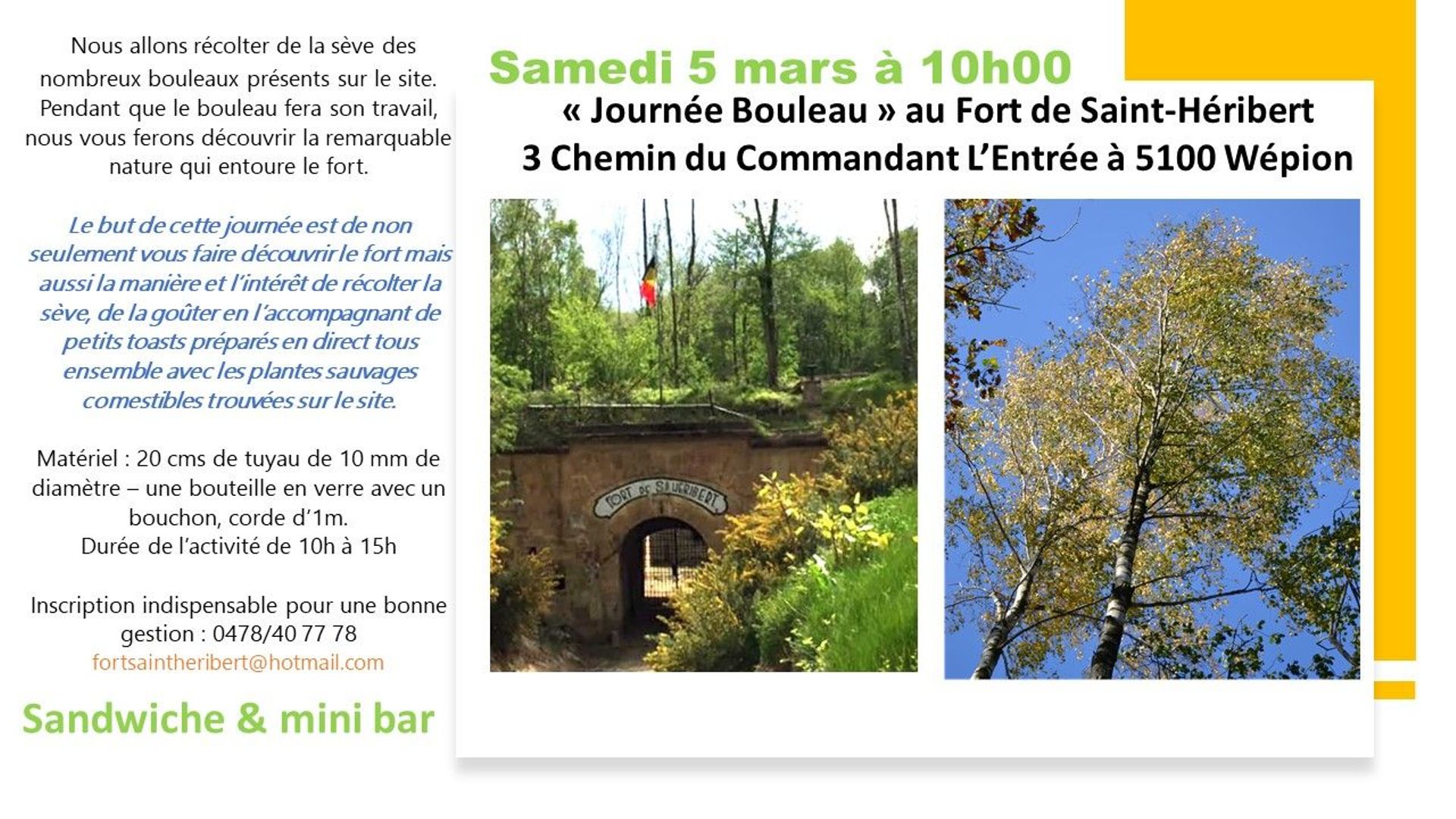 Journée Bouleau au Fort de Saint-Héribert à Wépion (Province de Namur)