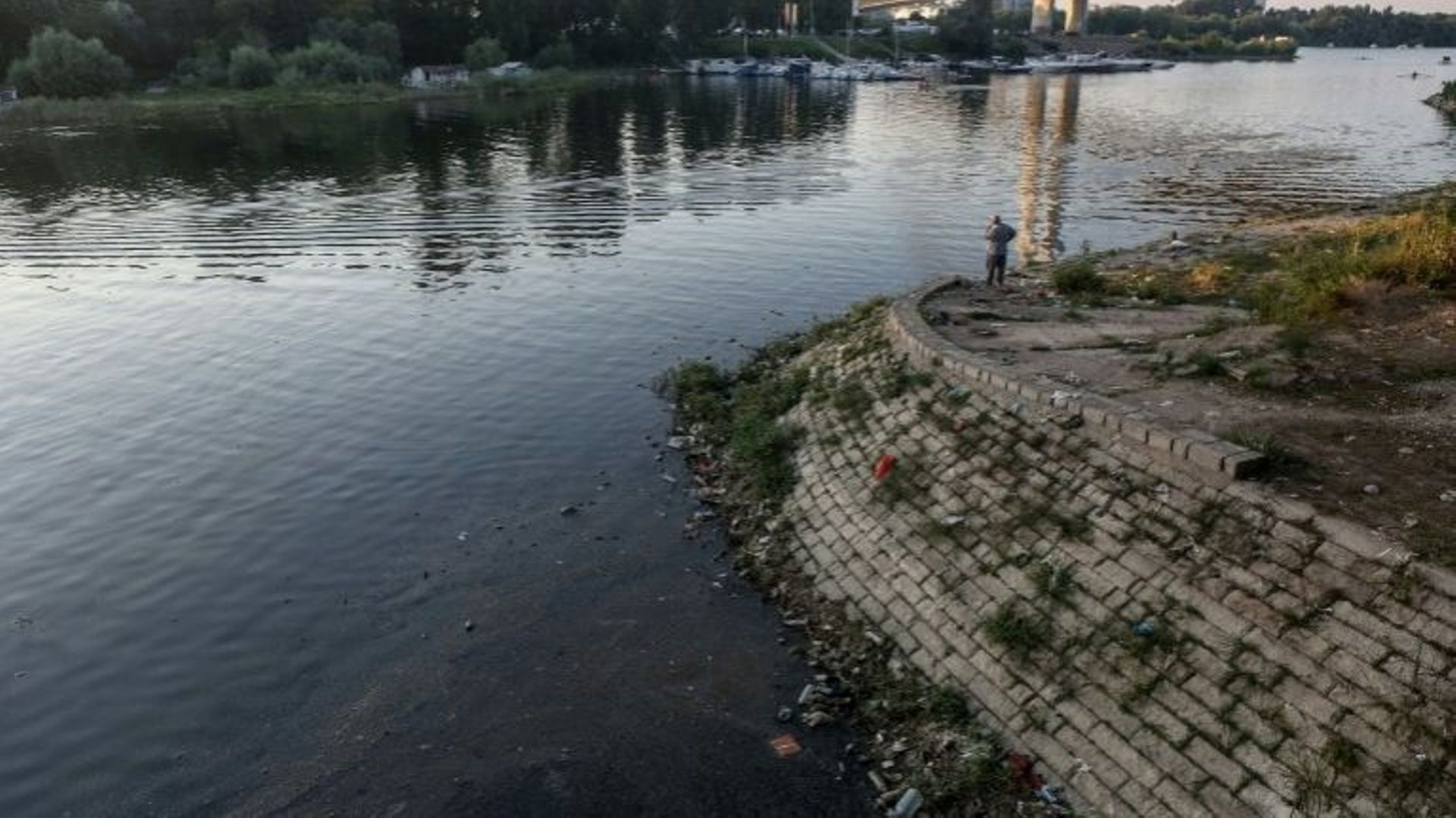 Des déchets flottent à la surface de la rivière Save, affluent du Danube, à Belgrade, le 30 juillet 2020.