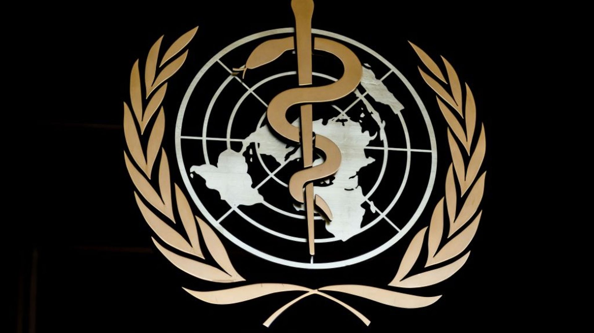 L'Organisation mondiale de la santé réunit jeudi son Comité d'experts sur la variole du singe