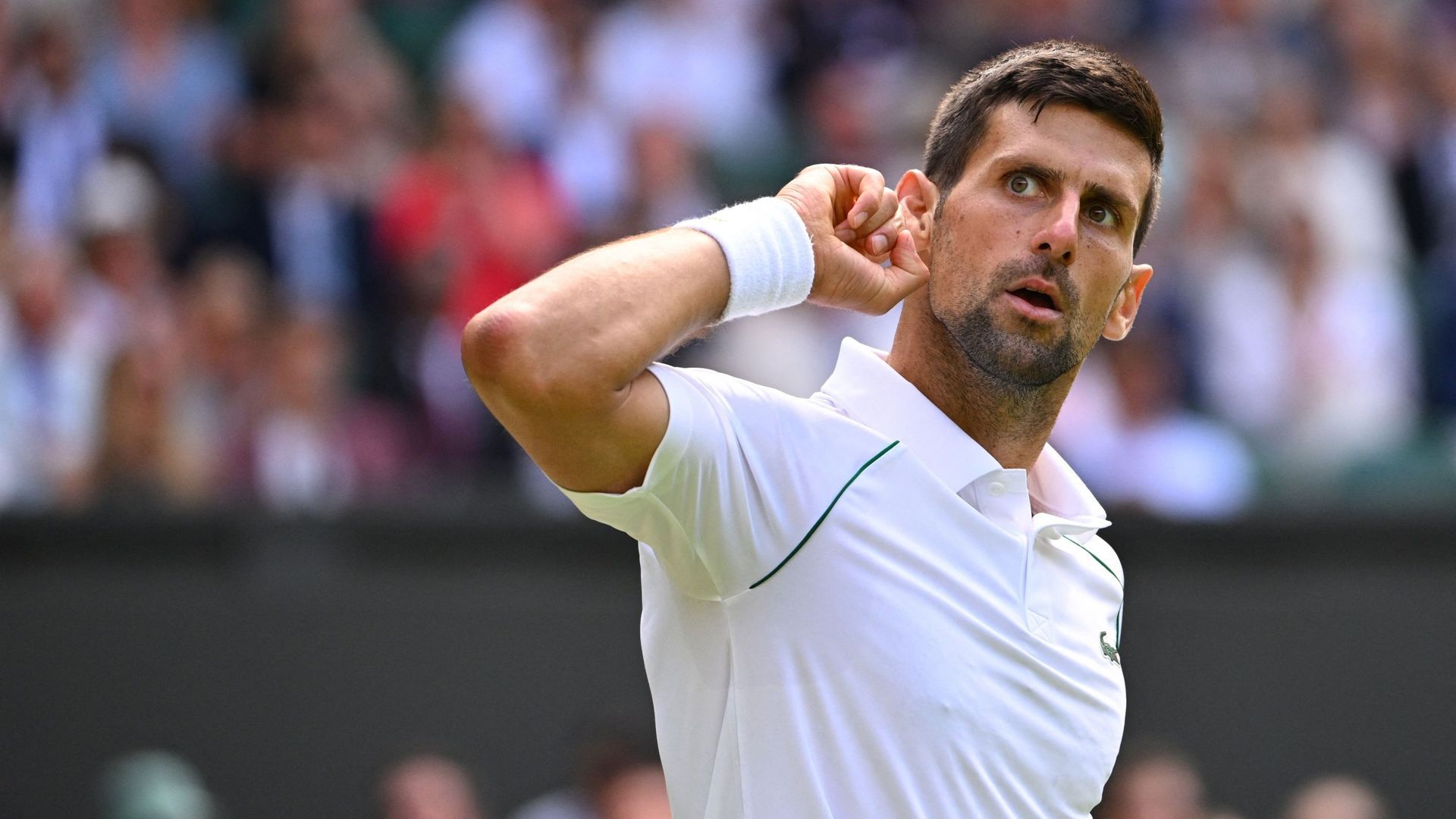 Novak Djokovic s’impose face à Sinner.