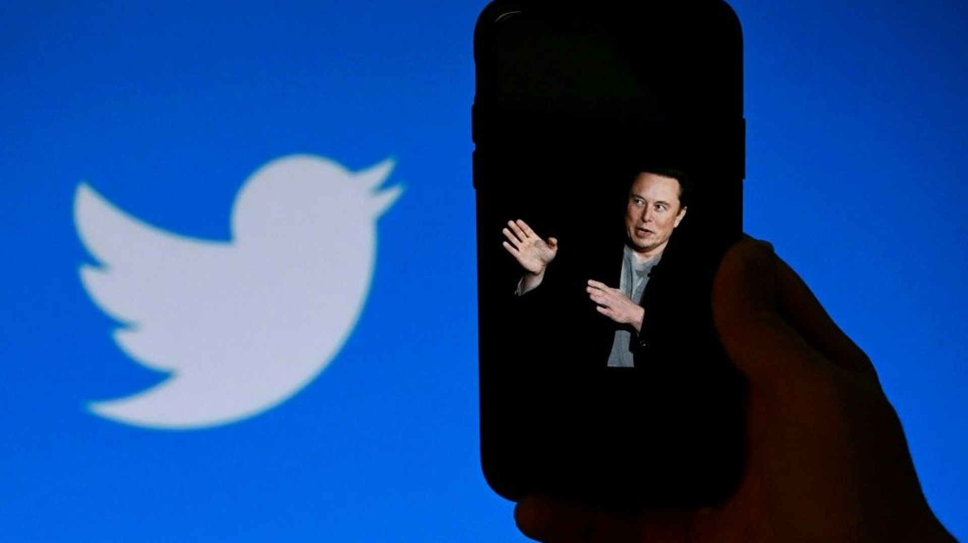 Le nouveau propriétaire de Twitter, Elon Musk, interpellé par le président français Emmanuel Macron, répond que les enfants seraient protégés en ligne
