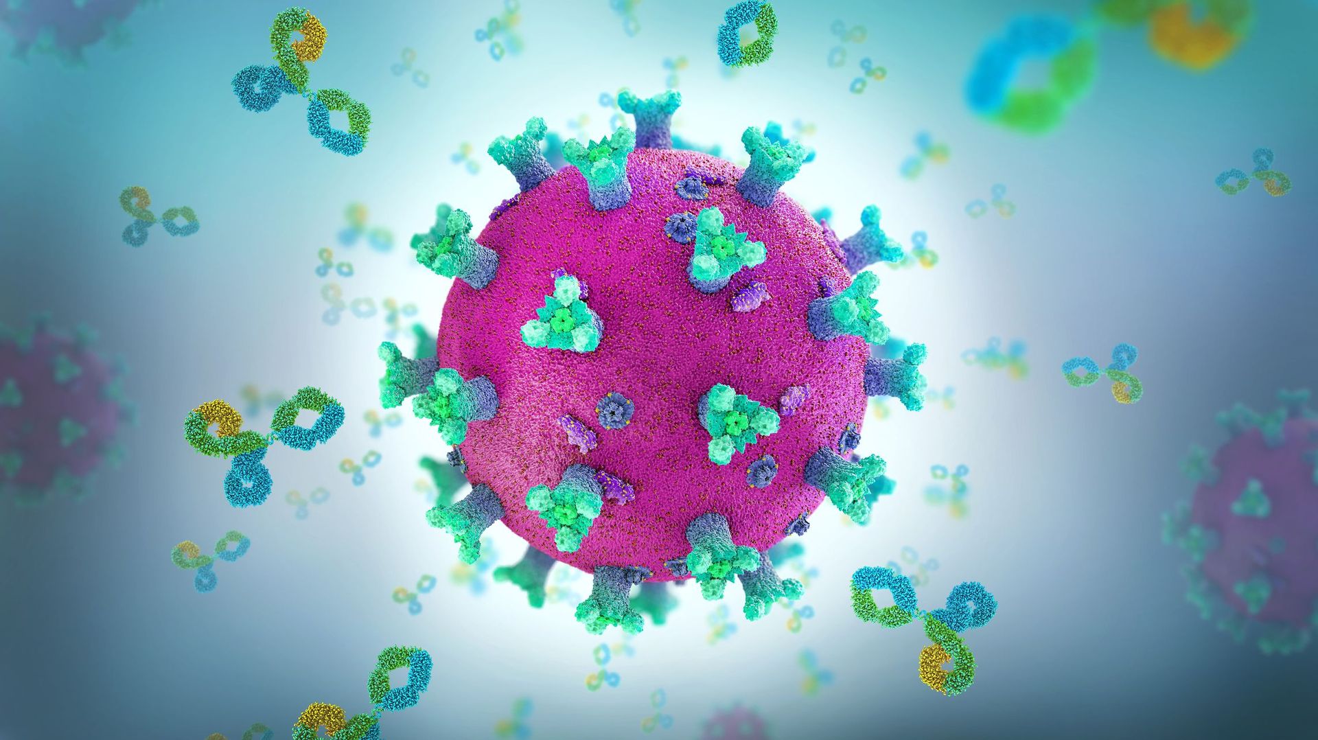 Coronavirus : les Etats-Unis autorisent un traitement à base d’anticorps de synthèse contre le Covid-19