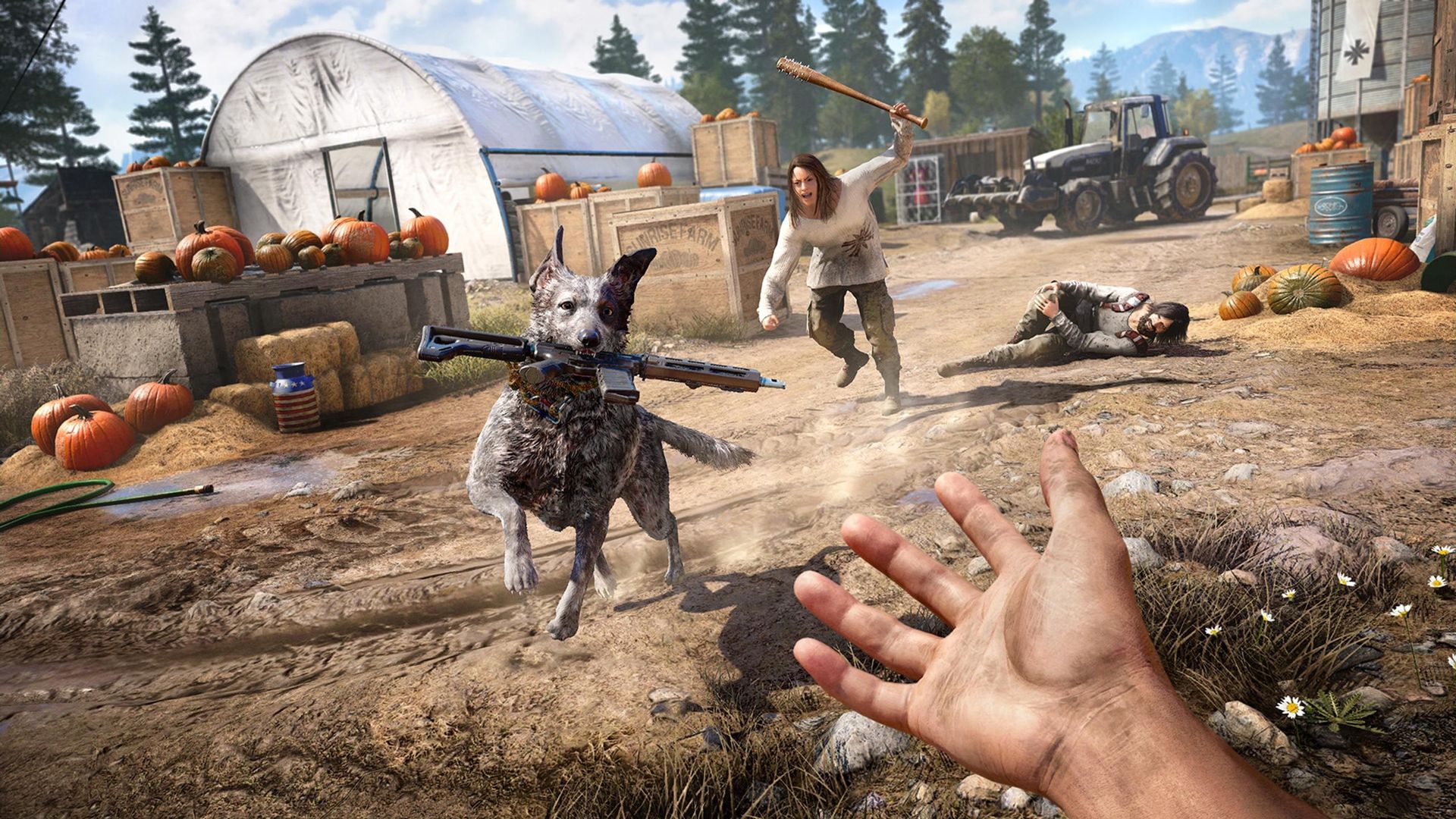 "Far cry 5" est sorti le 27 mars dernier sur Xbox One, PS4 et PC