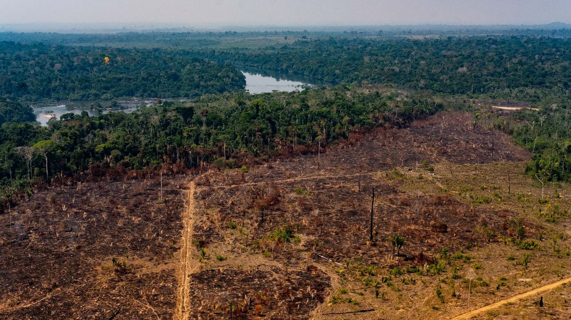 La déforestation très élevée en Amazonie brésilienne, mais moins qu'en 2019