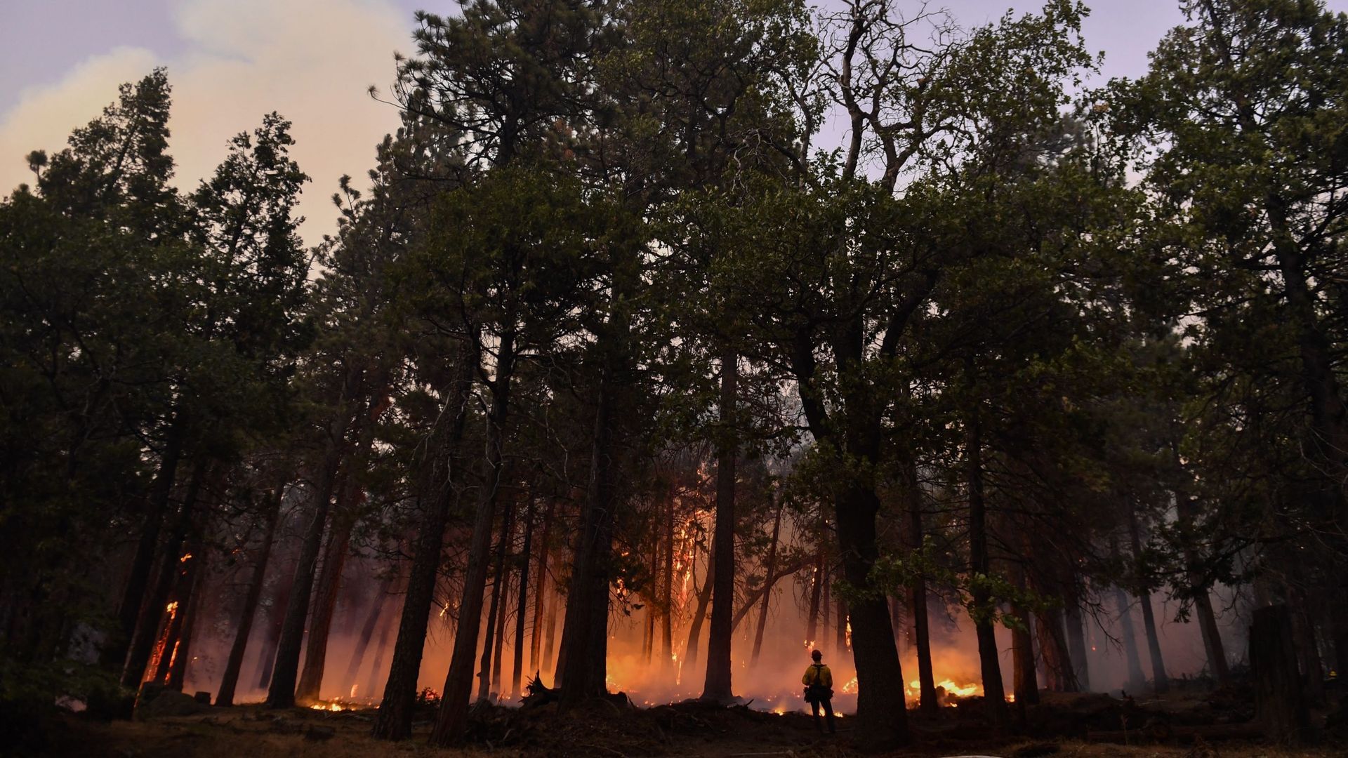 Un nouveau feu de forêt met en péril un millier d’habitants à Sans Bernadino (Californie). Ici, l’incendie près du parc national de séquoias, le 25 août 2021