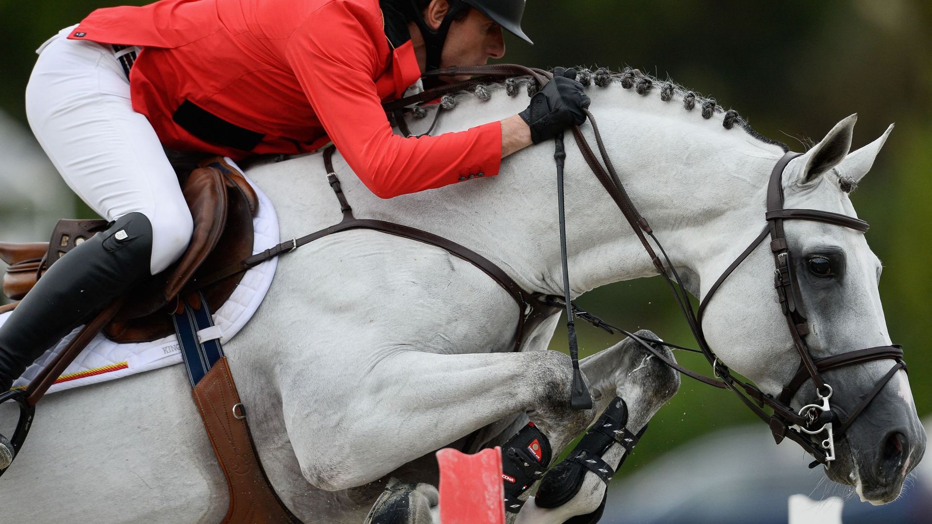 Gregory Wathelet et MJT Nevados S lors de la Finale de la Coupe des Nations à Barcelone 6 octobre 2019.