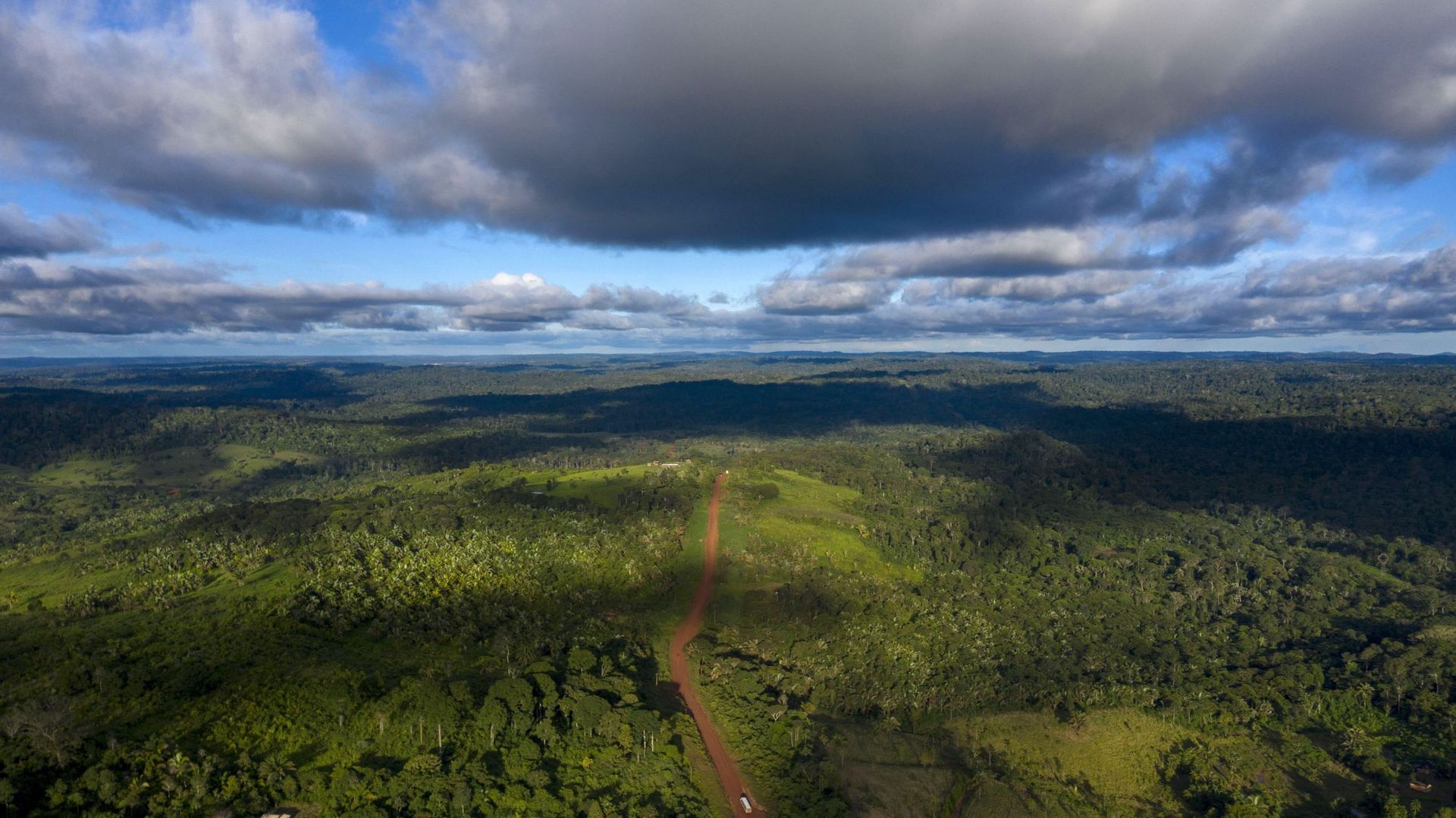 Douze millions d'hectares de forêts tropicales ont disparu en 2018