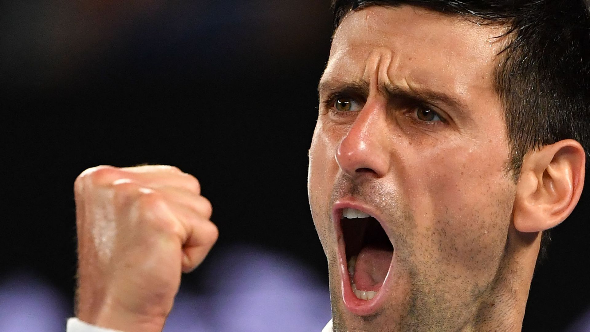 On connaît enfin les dessous de l'exemption médicale octroyée à Novak Djokovic