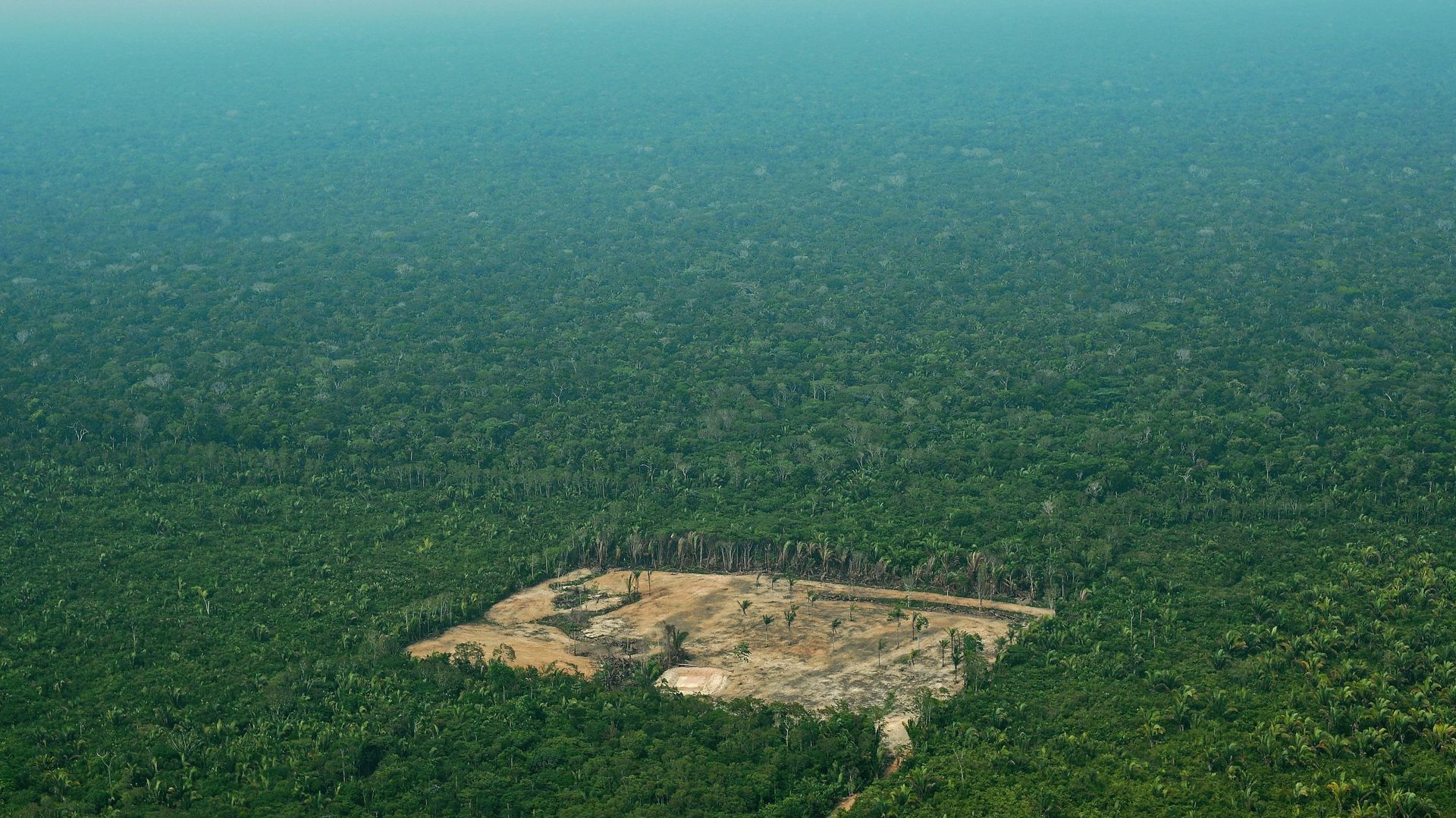 bresil-la-deforestation-multipliee-par-quatre-en-juillet-sur-un-an