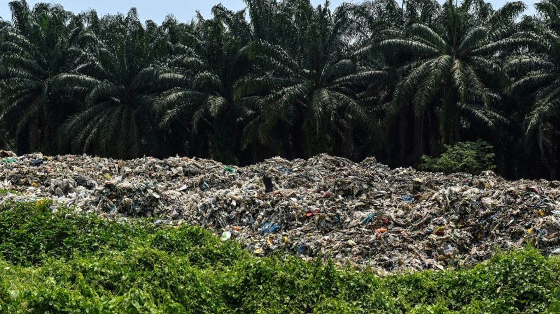 Des déchets plastiques devant des palmiers, dans une usine de recyclage désaffectée à Jenjarom, près de Kuala Lumpur en Malaisie, le 8 mars 2019