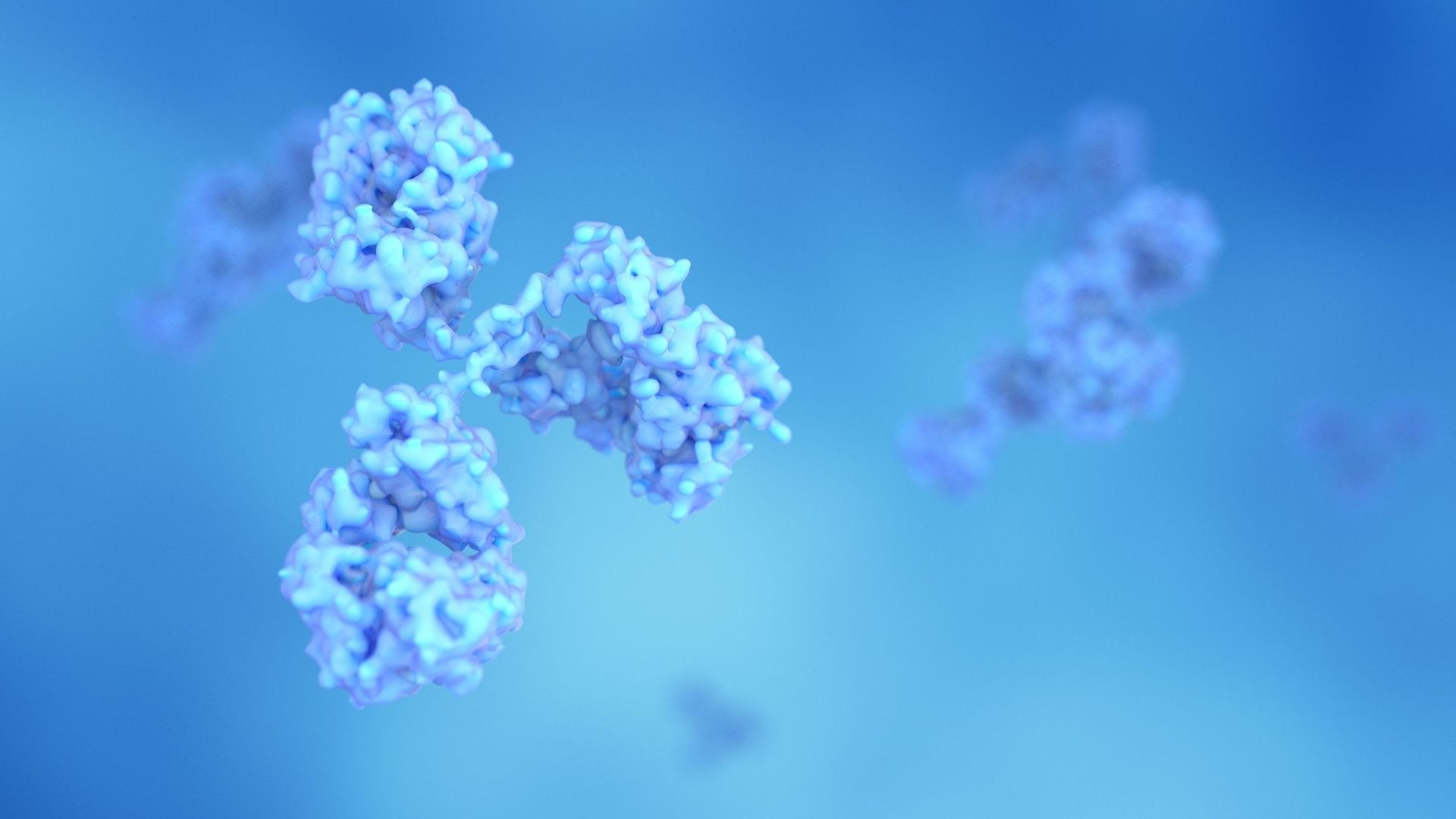 Des anticorps fabriqués en laboratoire pourraient guérir de la fièvre jaune.