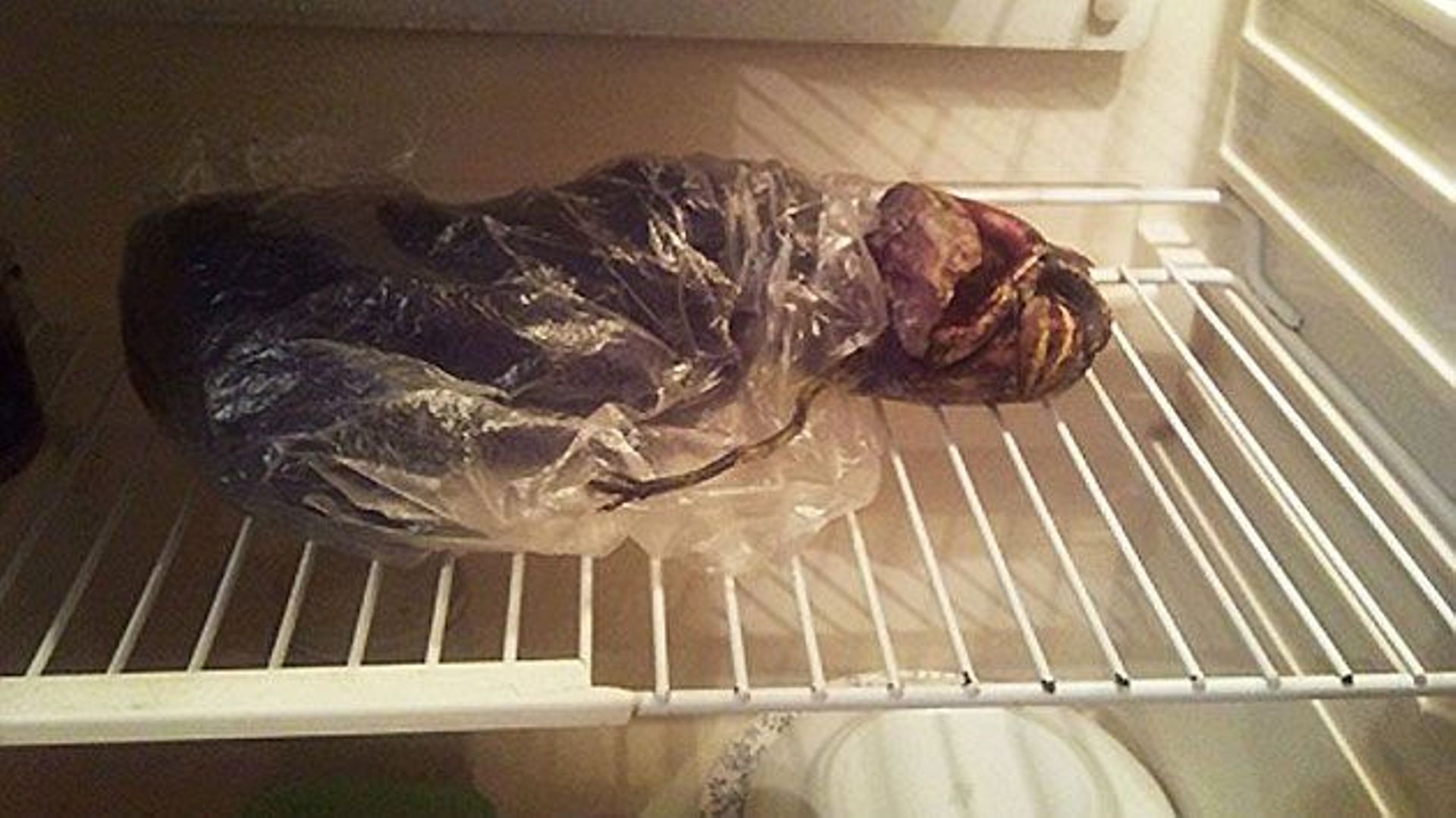 Un alien mort conservé au frigo