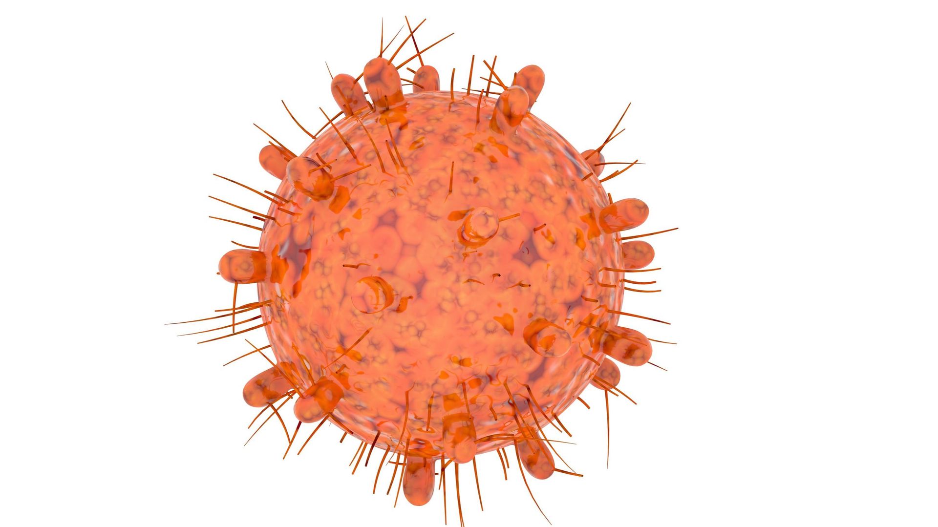 coronavirus-une-premiere-contamination-au-nouveau-variant-sud-africain-omicron-en-belgique
