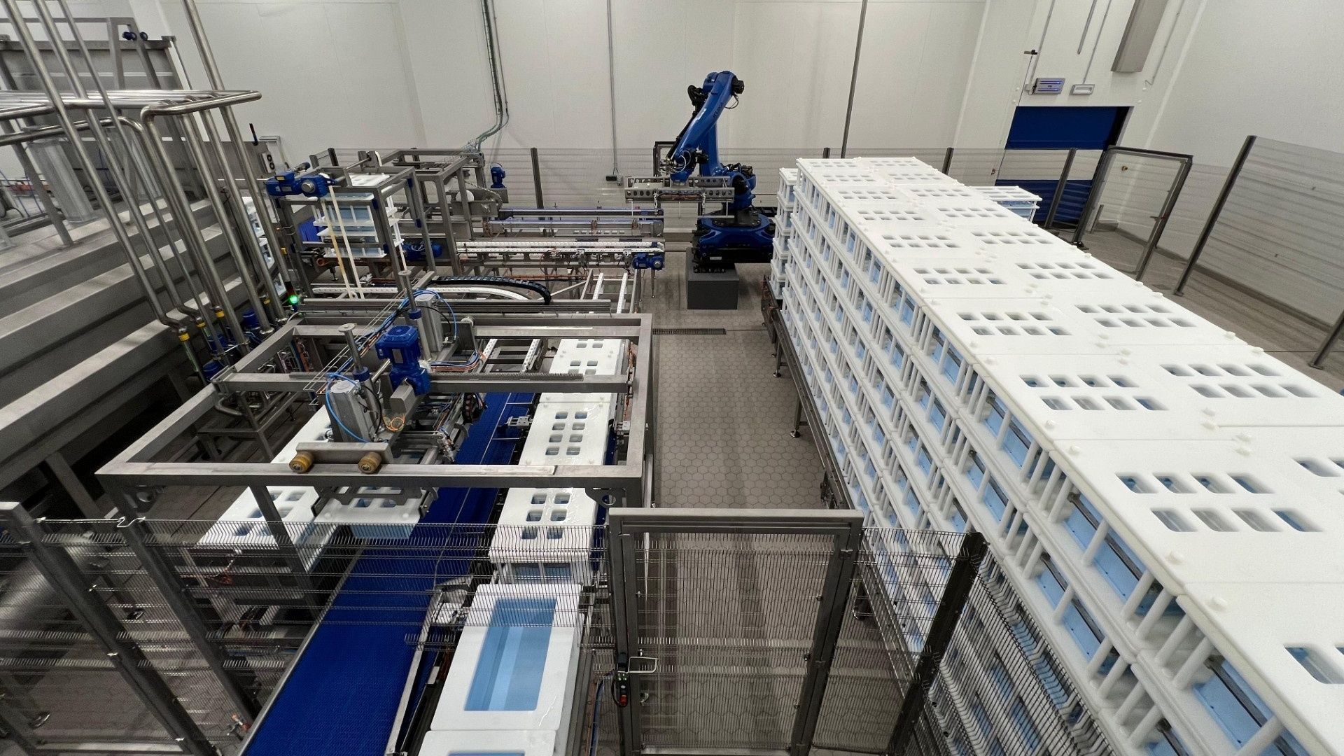 Terre de Fromages, le champion local du fromage de Herve, mise sur l'automatisation pour rivaliser avec l'étranger