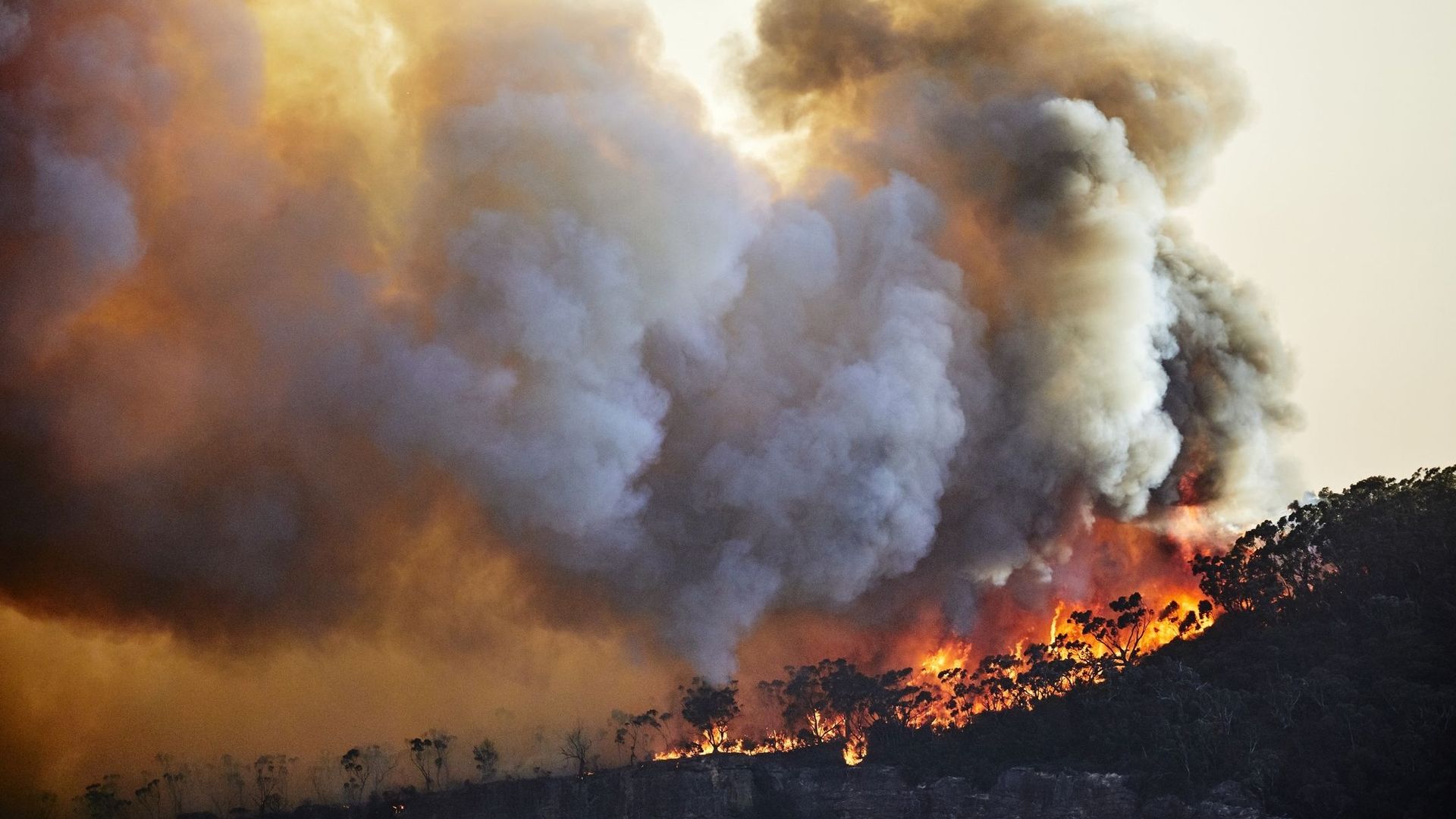 Biodiversité, climat, santé... : les crises sont liées entre elles, alertent des experts mandatés par l'ONU