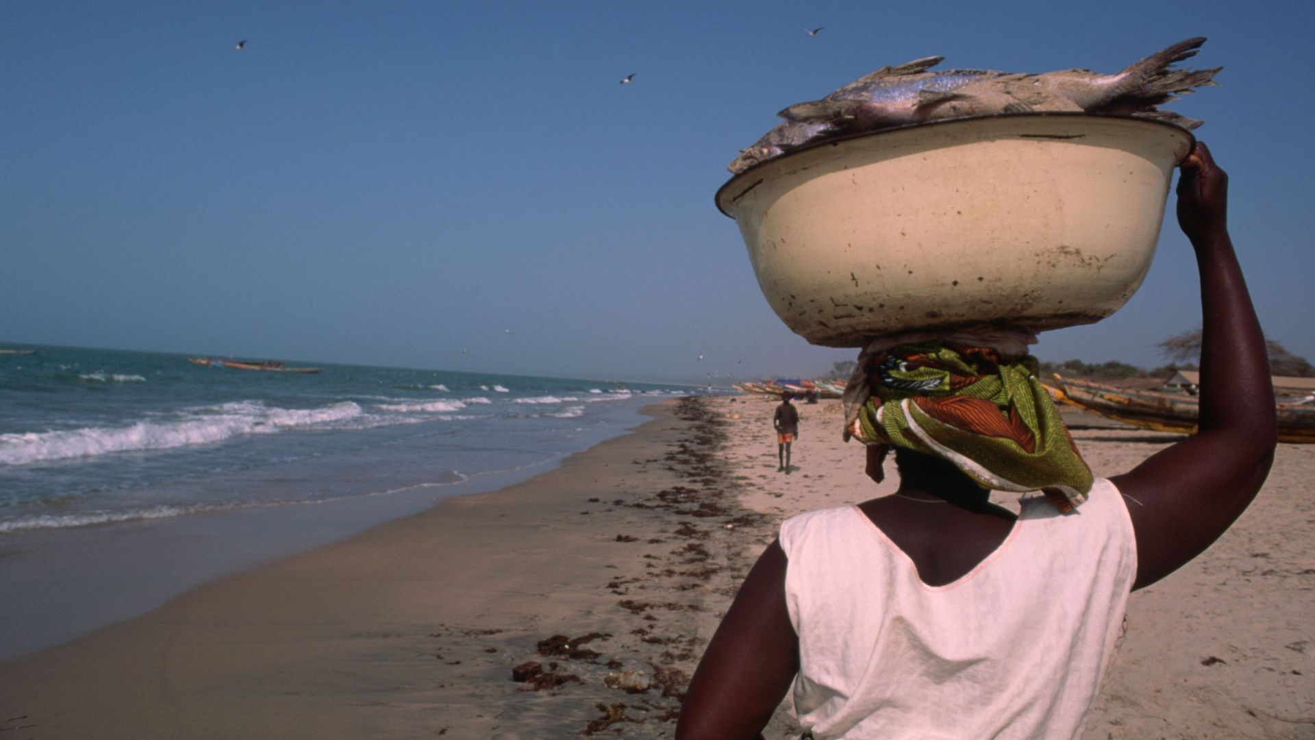 La Gambie cherche à réinventer son tourisme, au-delà des Britanniques et du Covid.