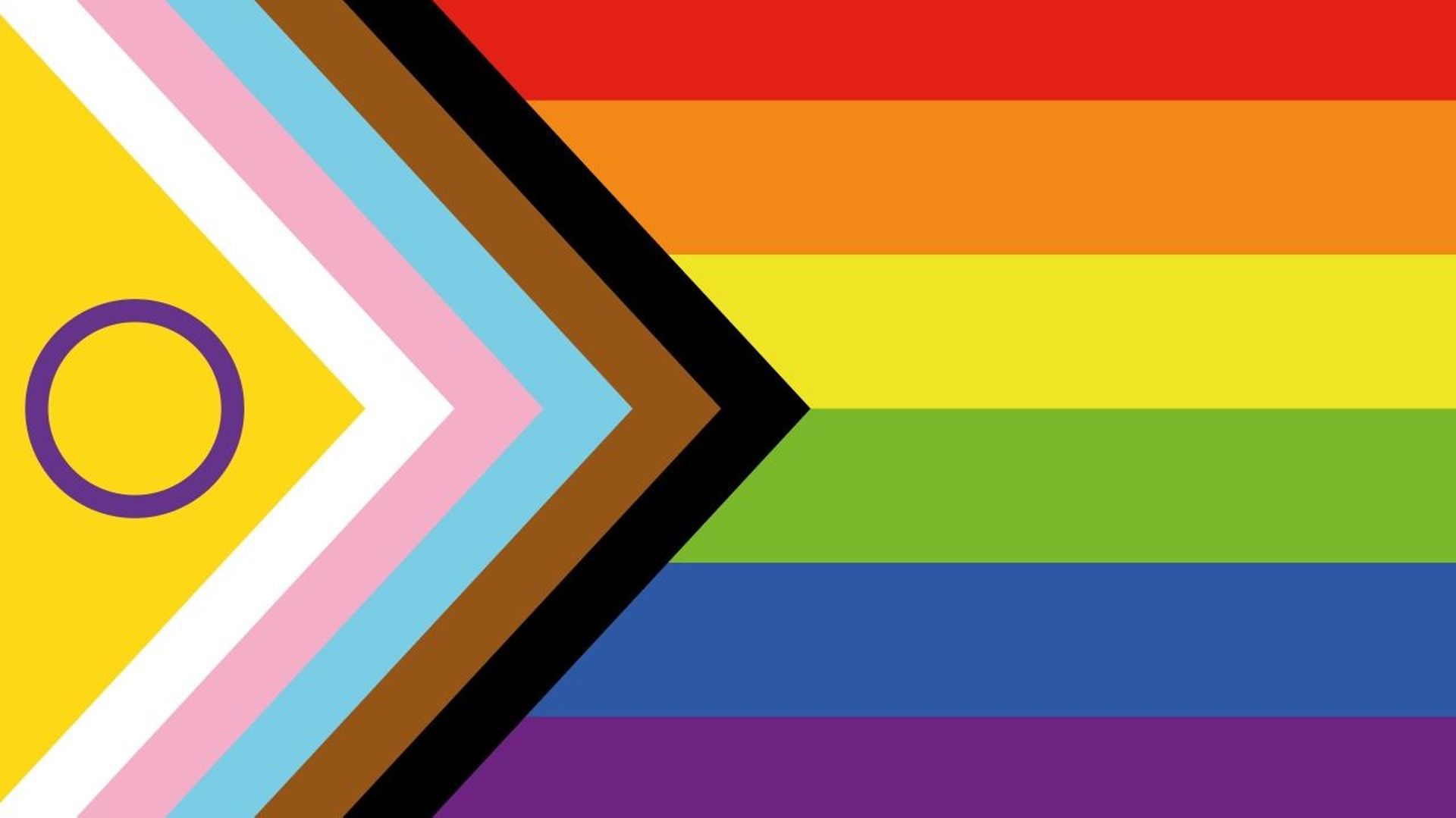 Le "progress pride flag"