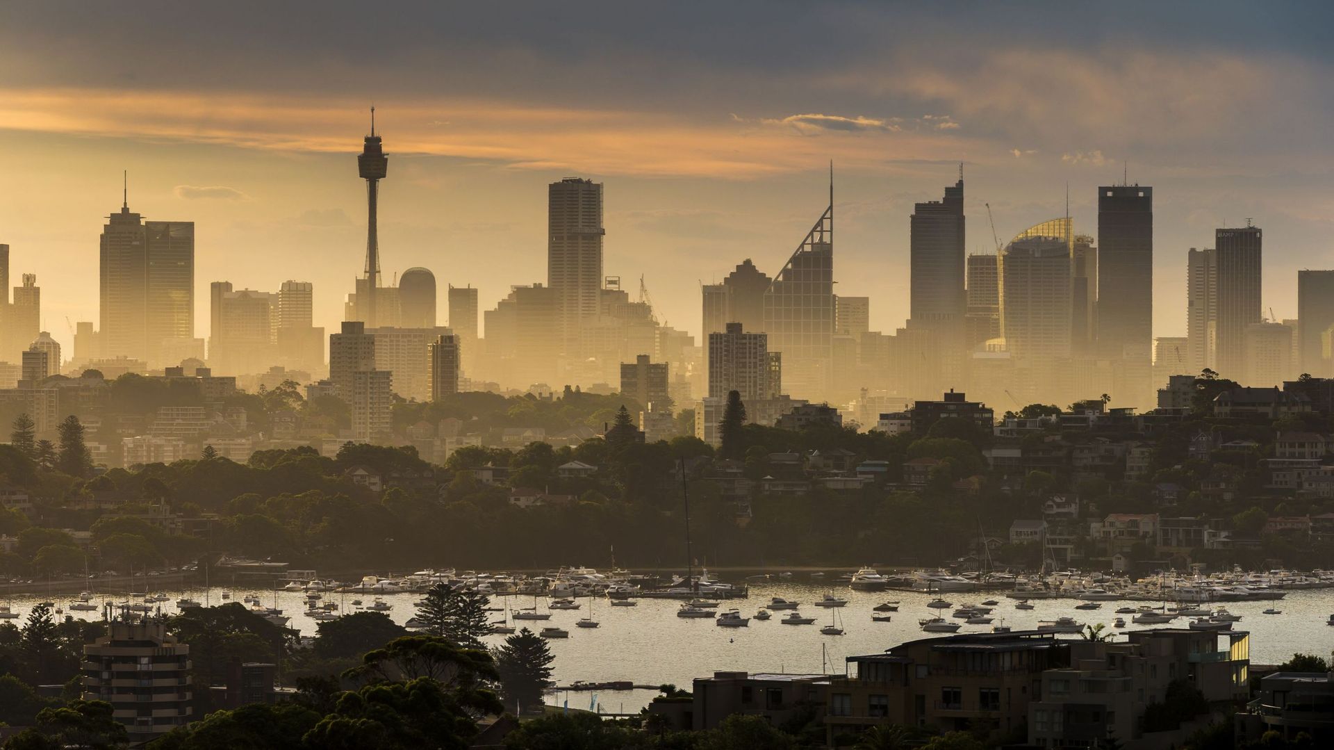 Vue de Sydney, en Australie (illustration)