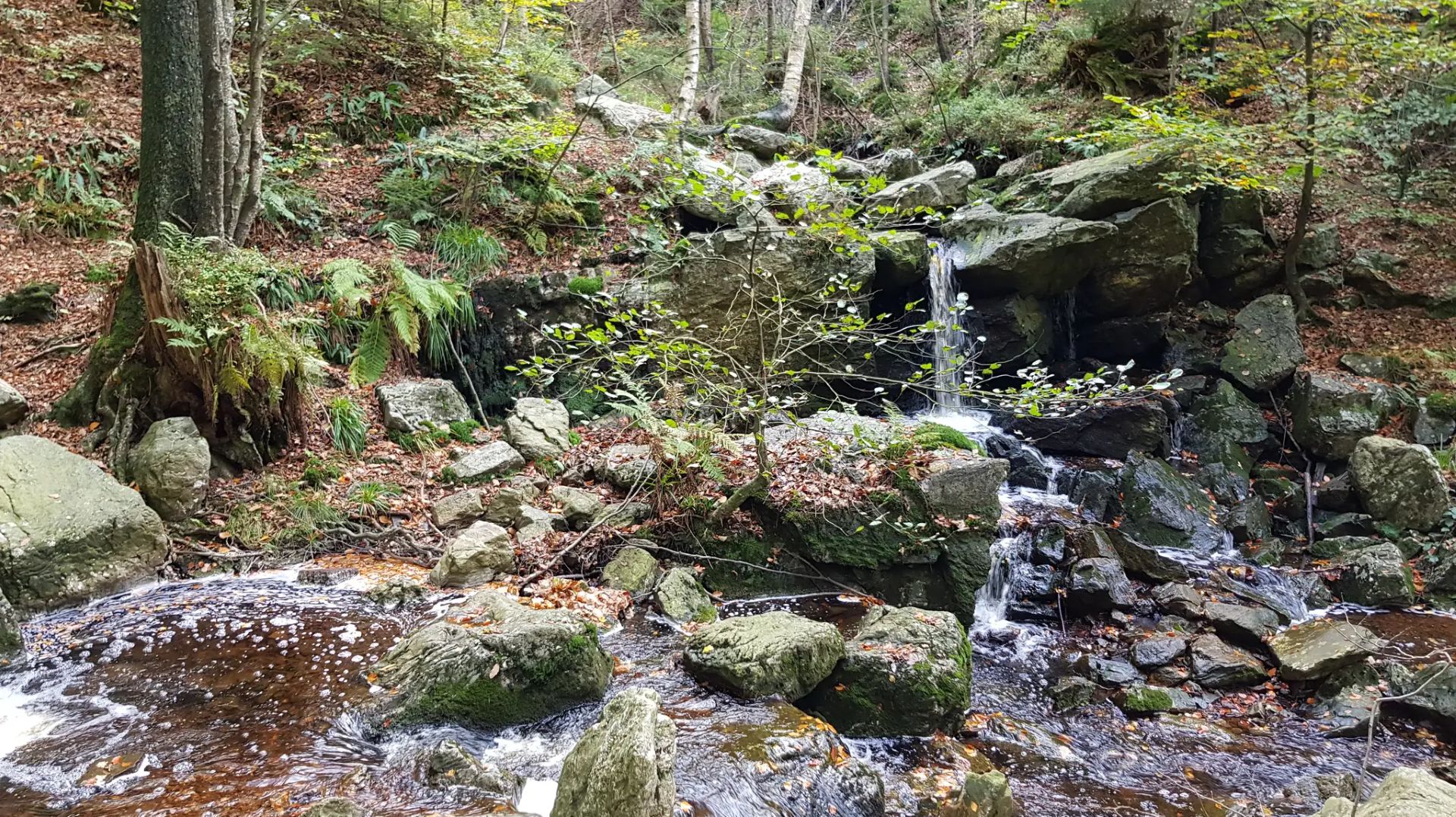 Les 14 marches Adeps du dimanche 31 mars à Bruxelles et en Wallonie ...