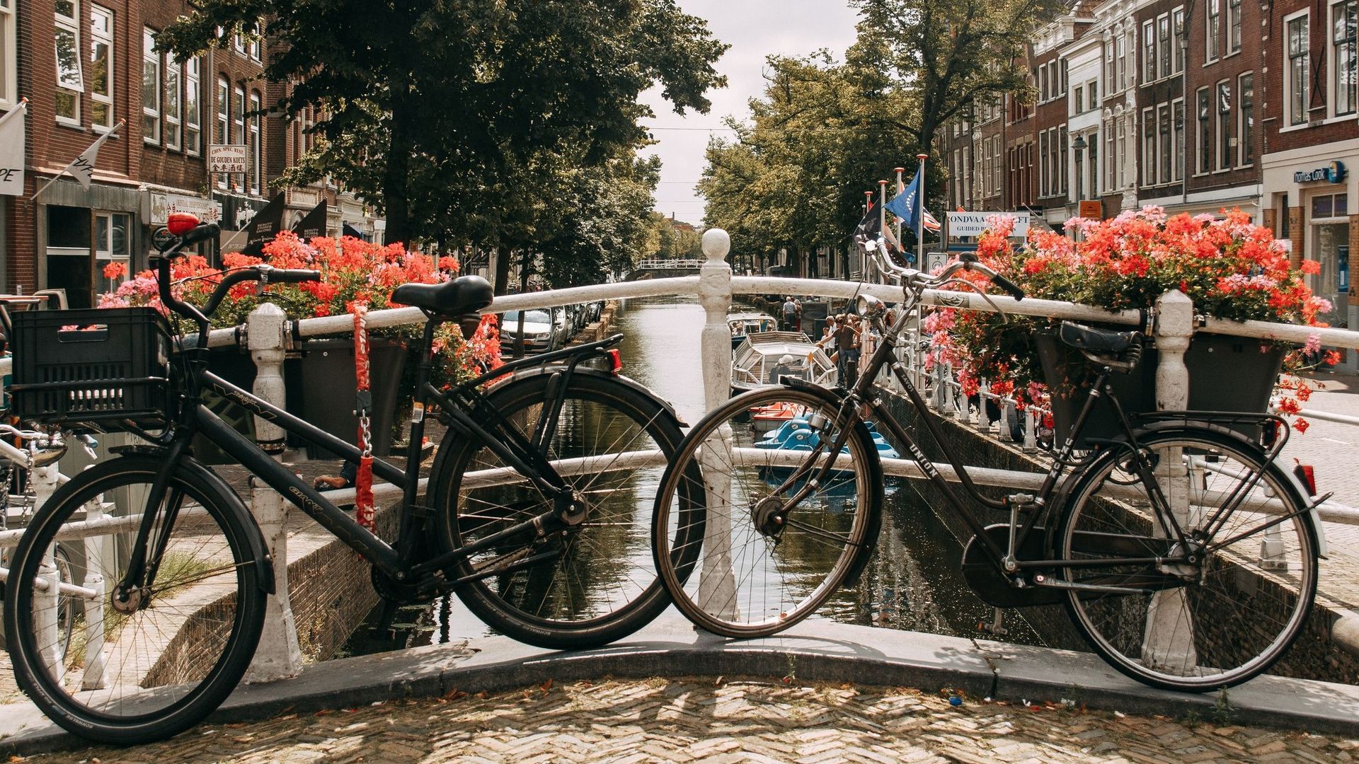 Delft, la ville pionnière de la mobilité durable.