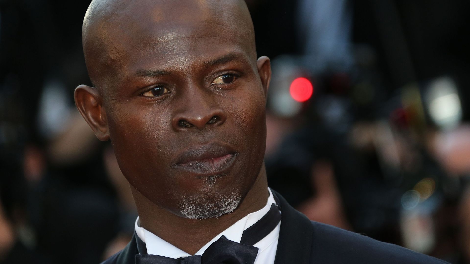 Djimon Hounsou s'invite dans la deuxième saison de "Wayward Pines"