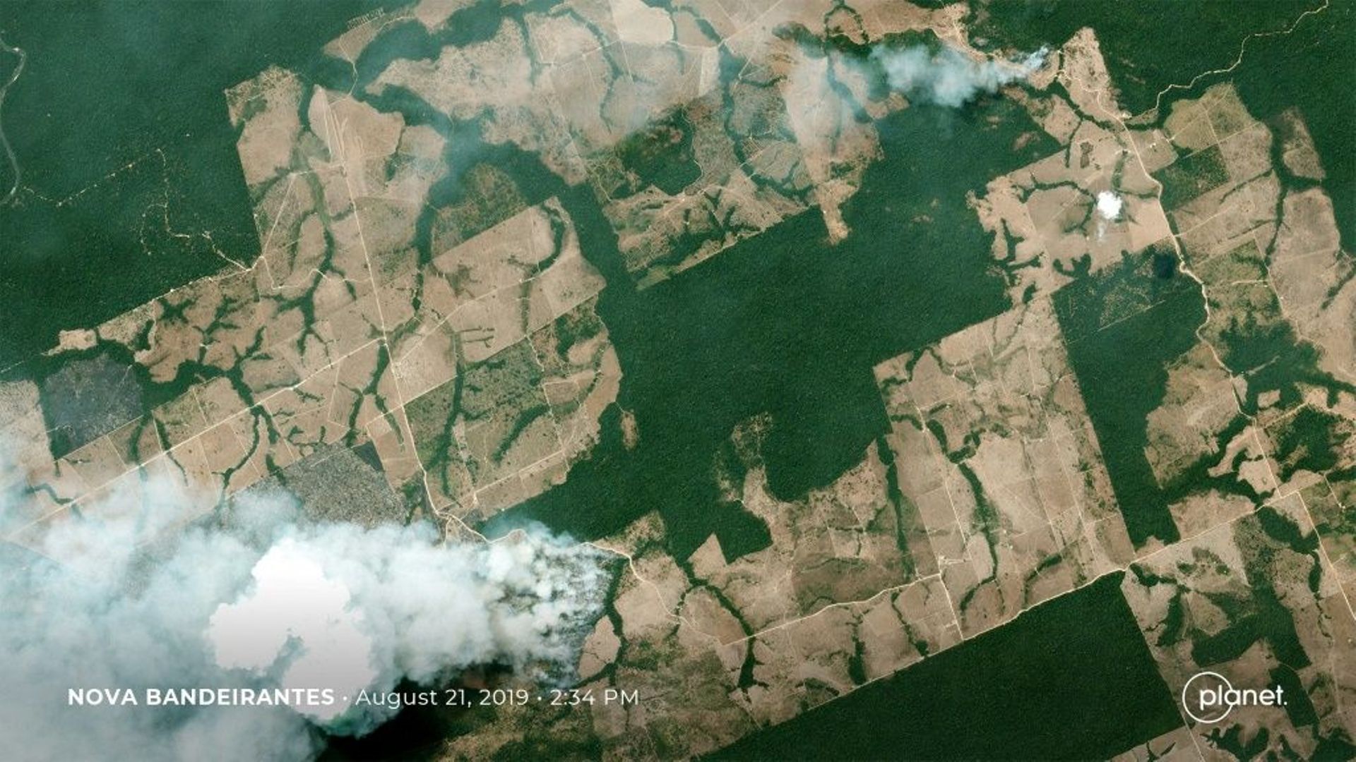 Pourquoi et comment une partie de l'Amazonie est-elle en train de brûler? Des feux surtout volontaires