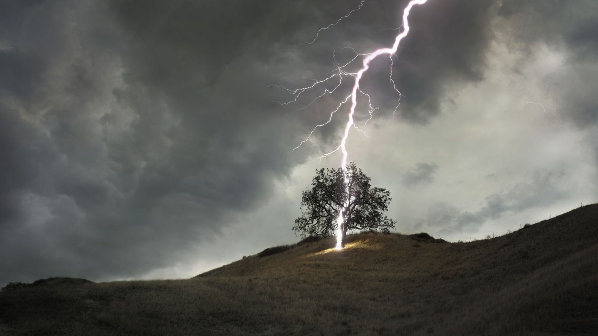 Lightning striking a lone tree during stormy weather