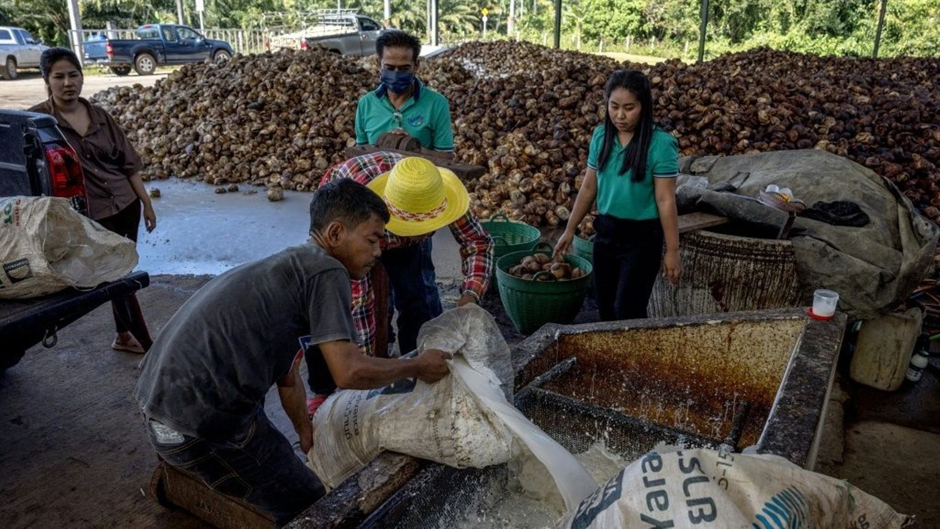 THAÏLANDE - ÉCONOMIE : La Thaïlande devient le premier exportateur mondial  de caoutchouc - Gavroche Thaïlande