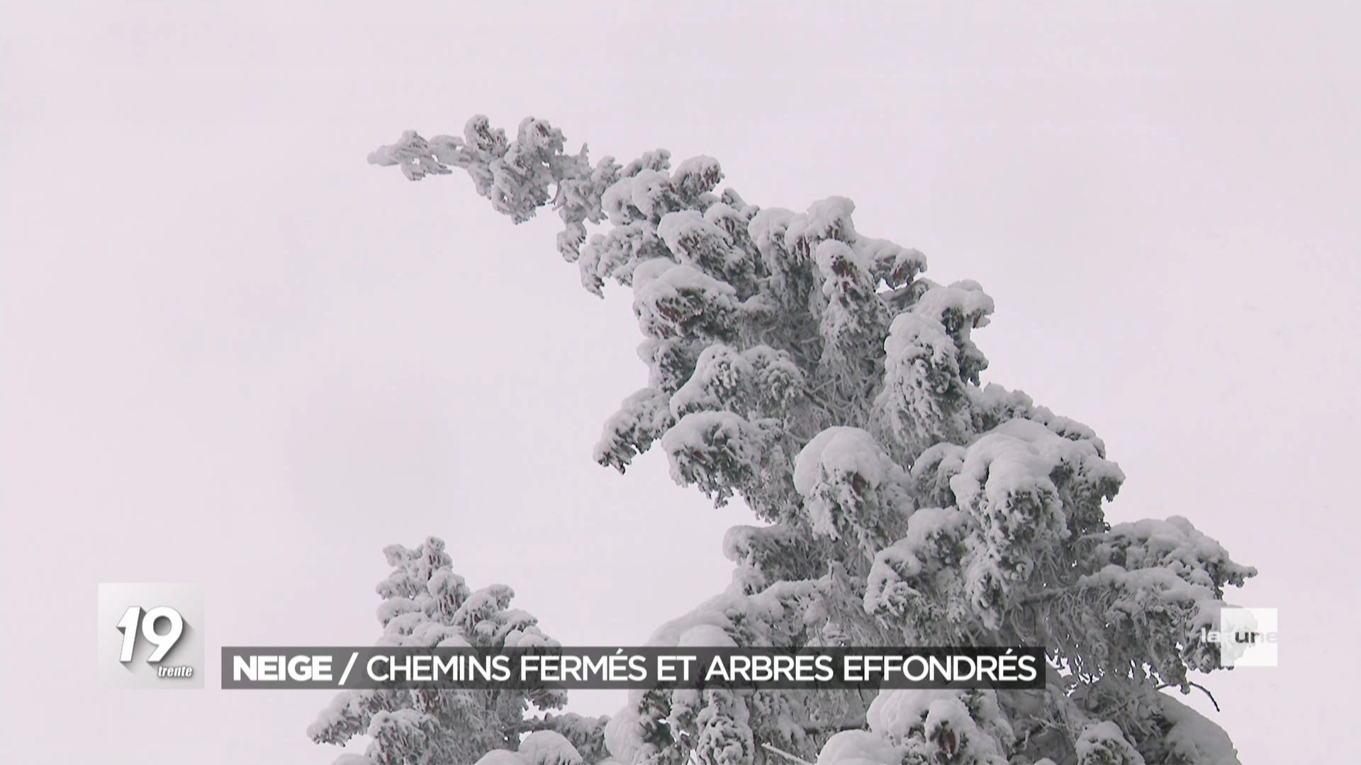 Intempéries plusieurs zones forestières d'Ardenne fermées en raison de