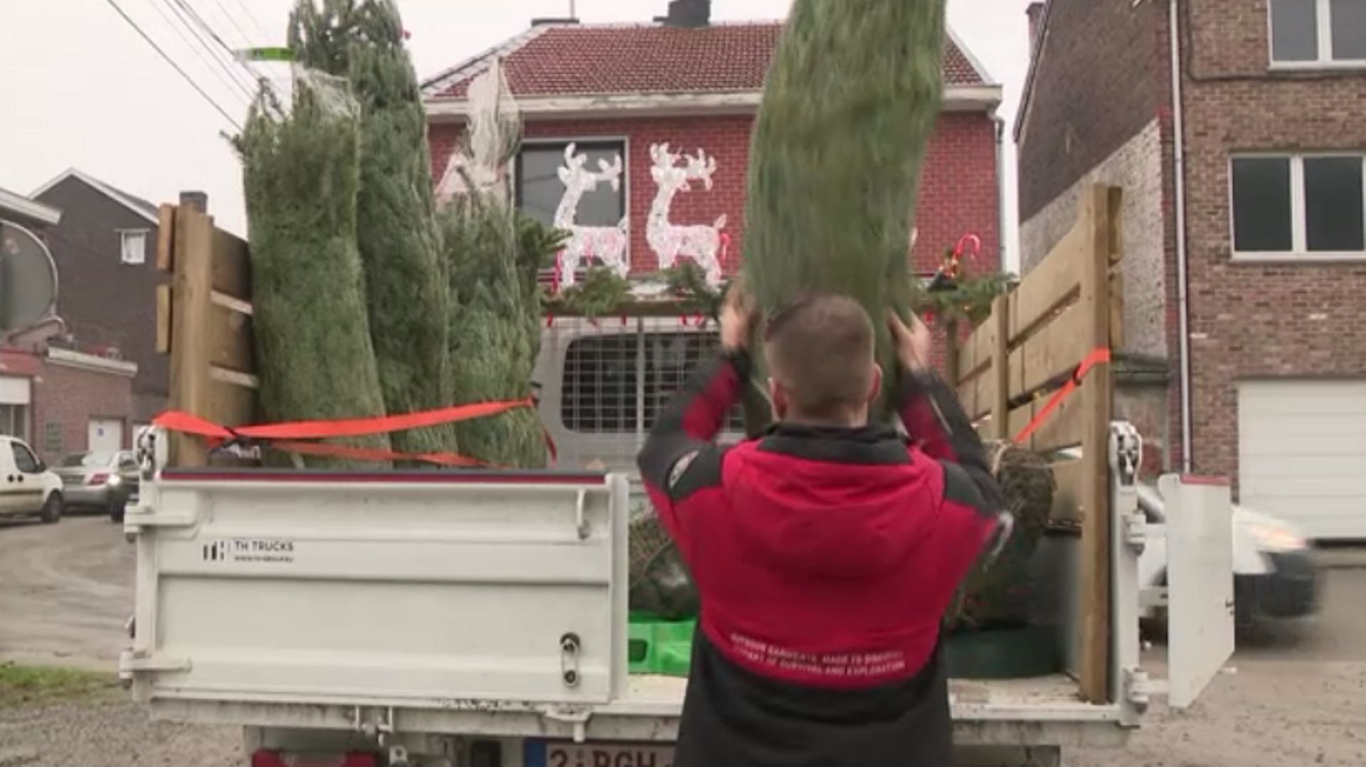 Liège: des sapins de Noël livrés à domicile