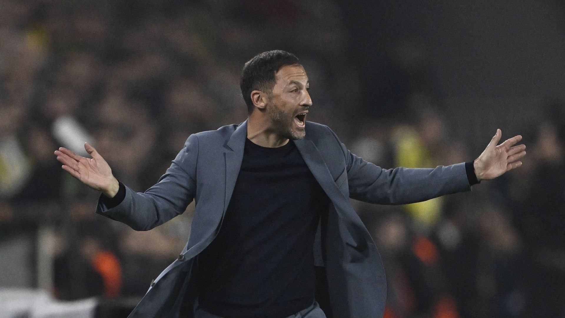 Domenico Tedesco, ex-sélectionneur des Diables, soulève la Supercoupe de Turquie avec Fenerbahçe