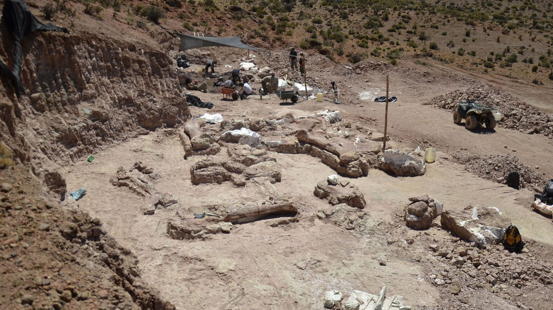 Images de zones où des fossiles de dinosaures ont été trouvés en Argentine, en 2014