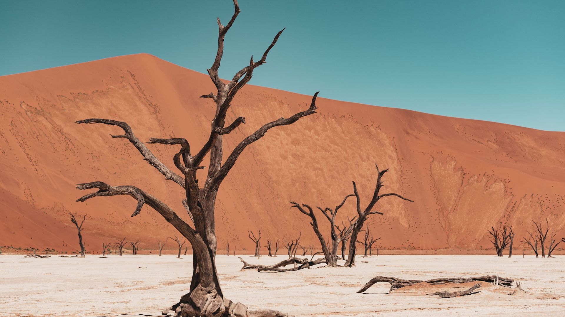 Sossusvlei en Namibie