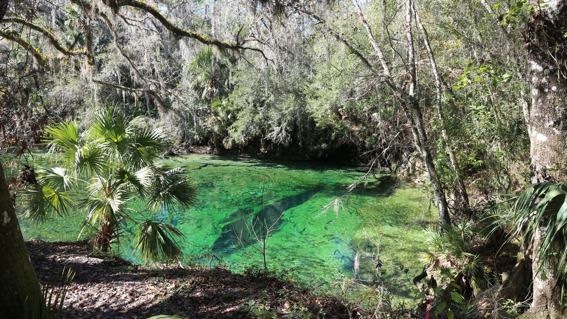 La beauté des parcs naturels est à couper le souffle