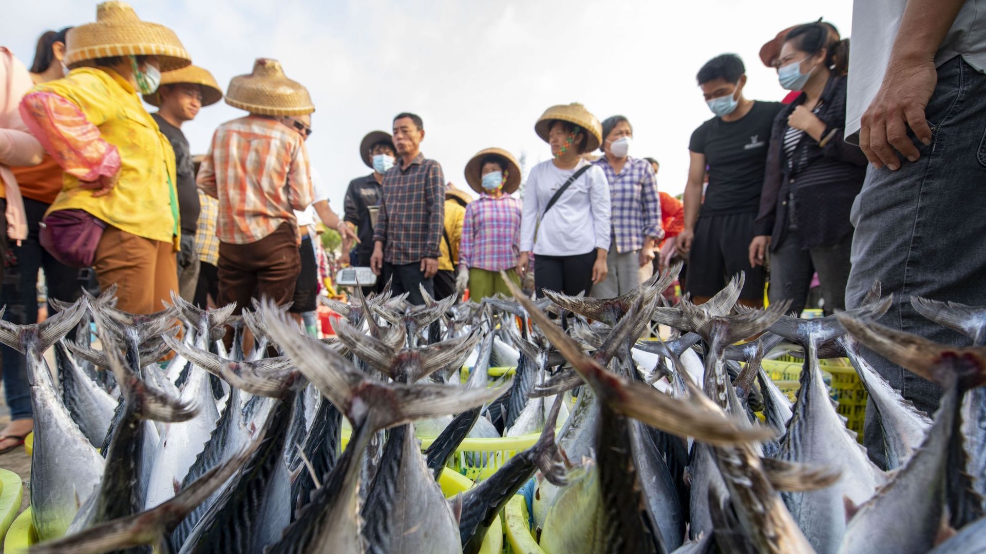 Des paniers de poissons fraîchement pêchés sont placés sur le quai le 12 avril 2022 à Qionghai, dans la province chinoise de Hainan (illustration) 