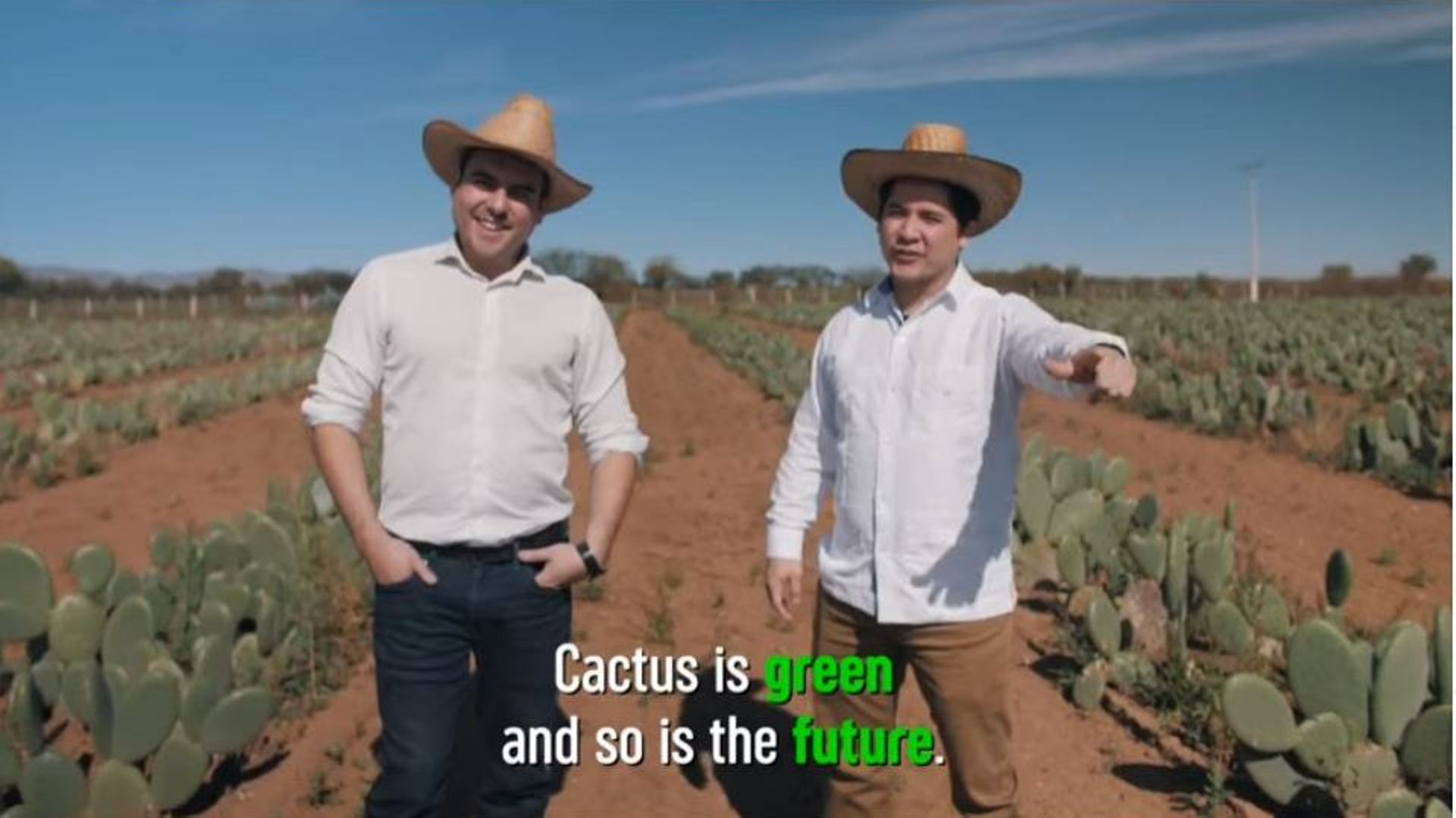 Ils créent le cuir de cactus pour préserver les animaux et la planète