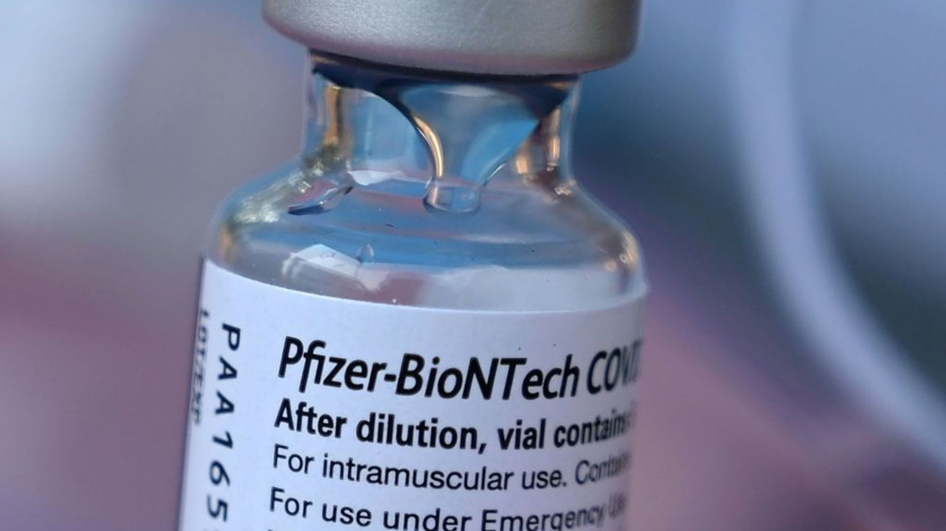 Une fiole de vaccin de Pfizer-BioNTech à Los Angeles, le 23 août 2021