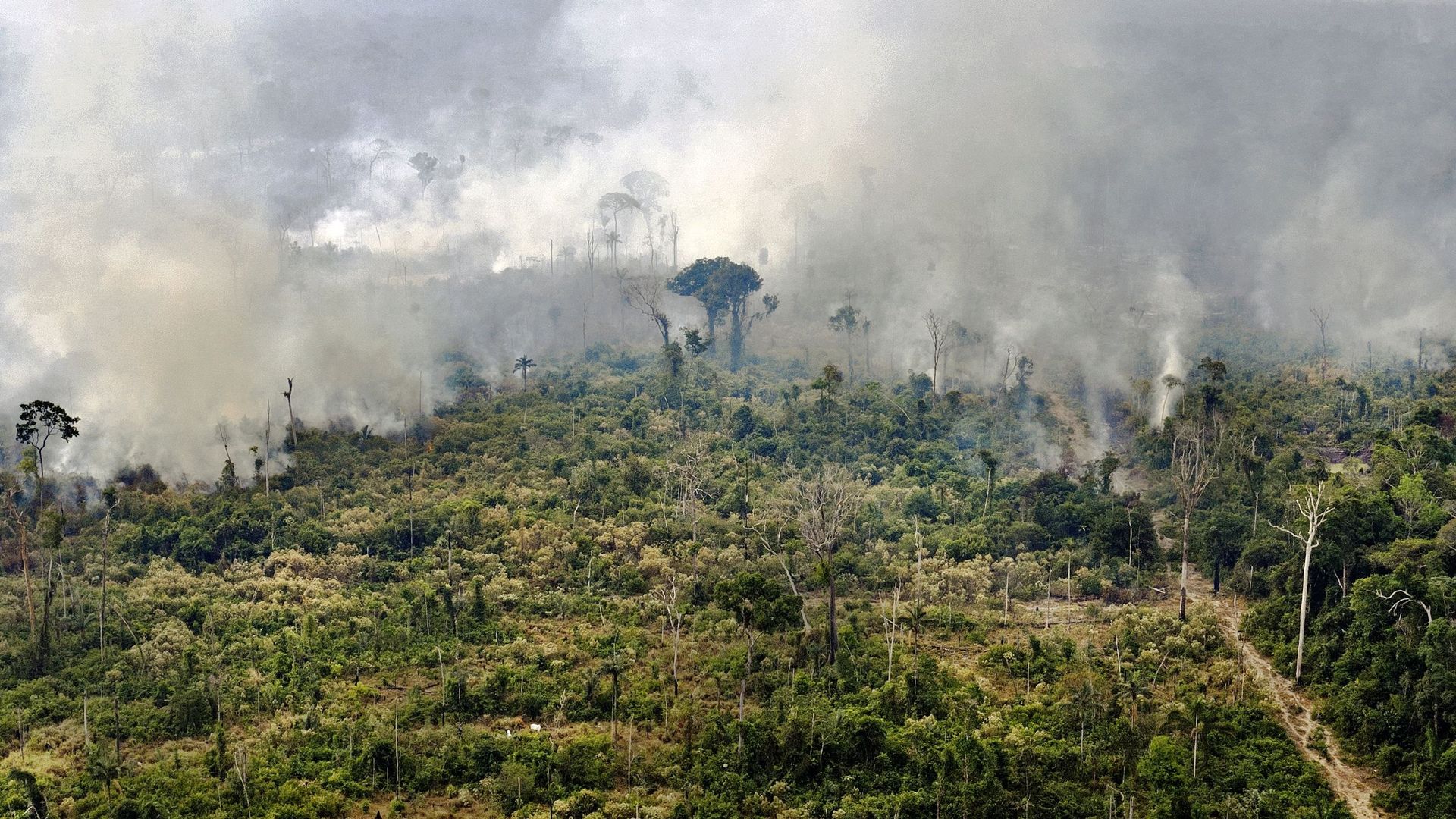 Les forêts tropicales risquent bientôt d'émettre plus de CO2 qu'elles n'en captent, comme cette forêt en feu au Brésil.